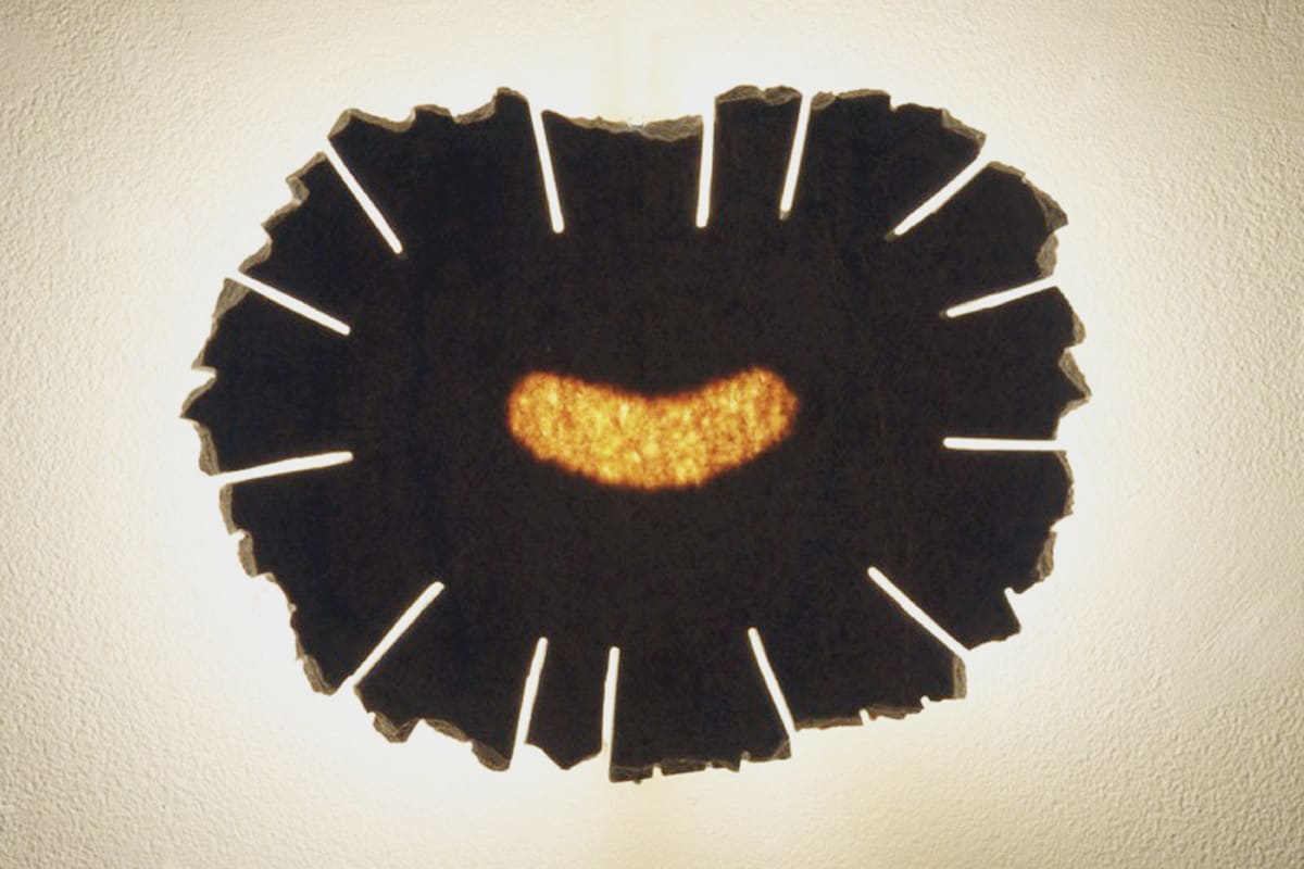 “Internal Eclipse”