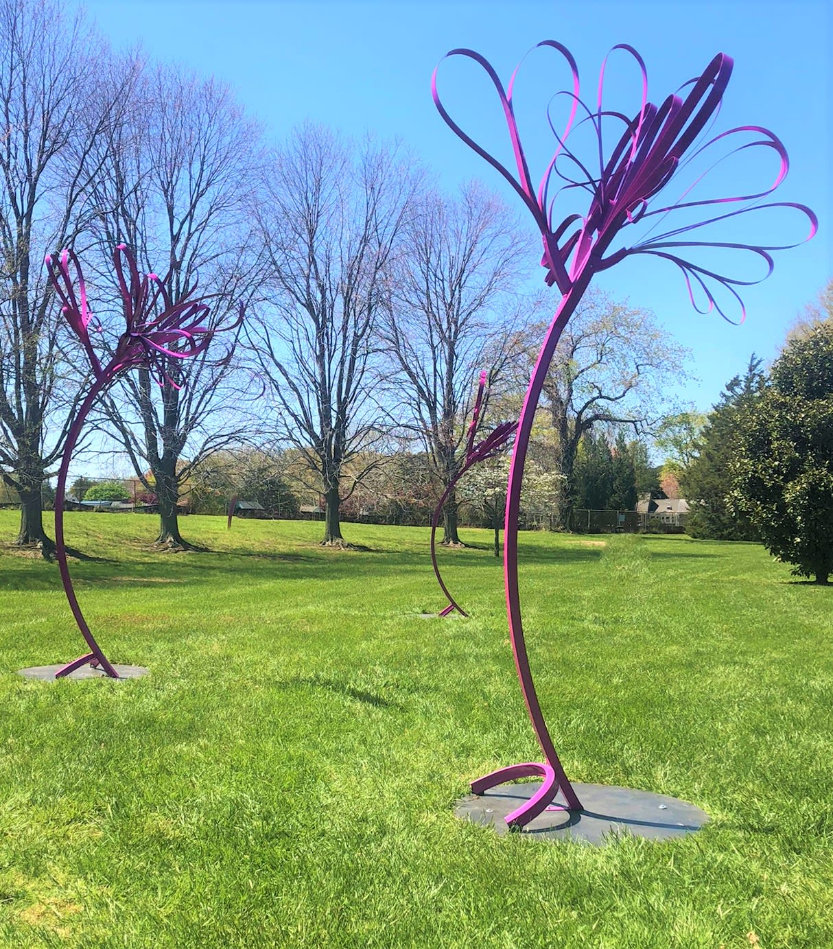 Lewes Squirt Installation in George H. P. Smith Park