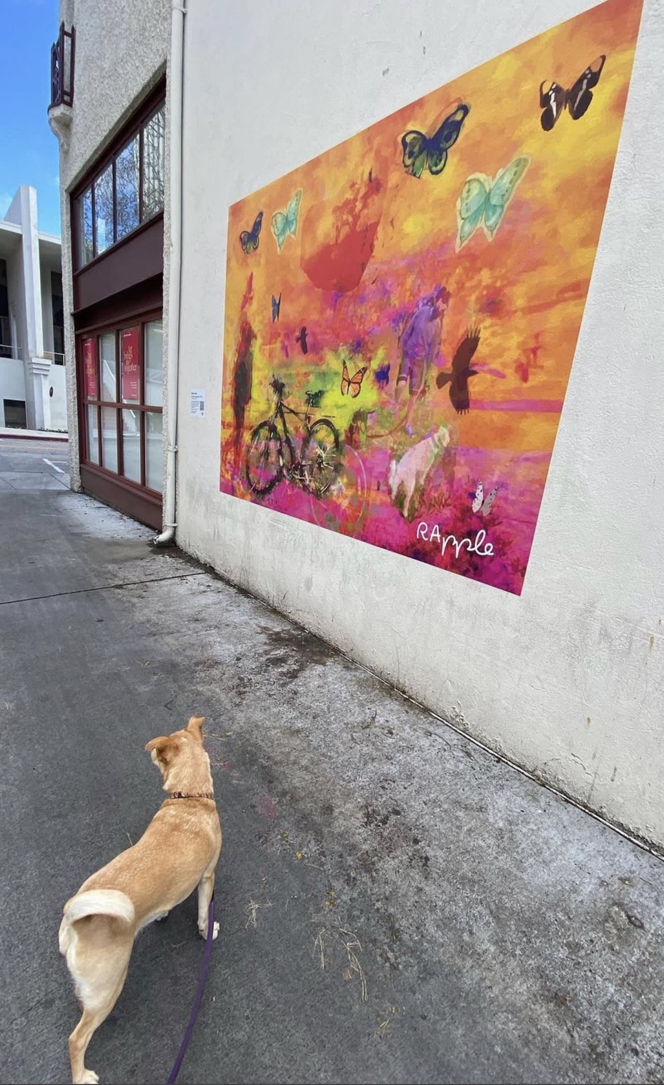 Palo Alto Temporary Murals Project.