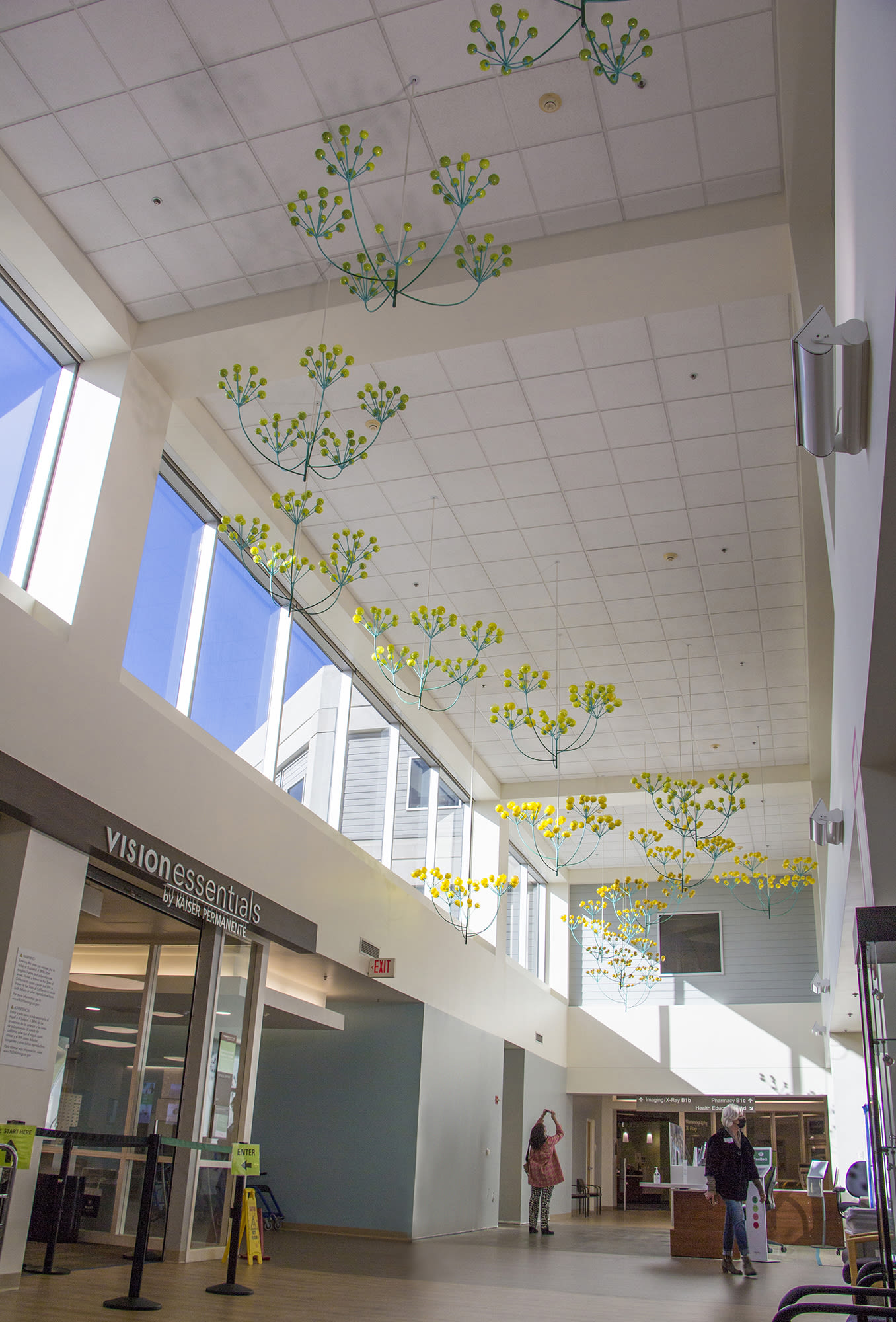 Flower Trail