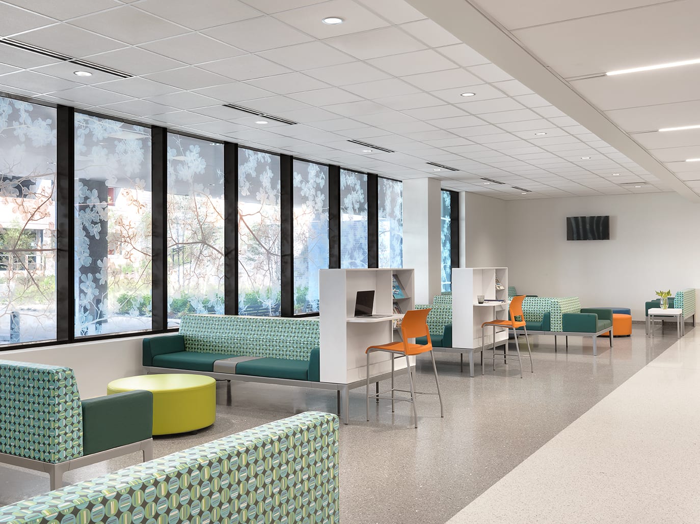 Saint Louis University Hospital