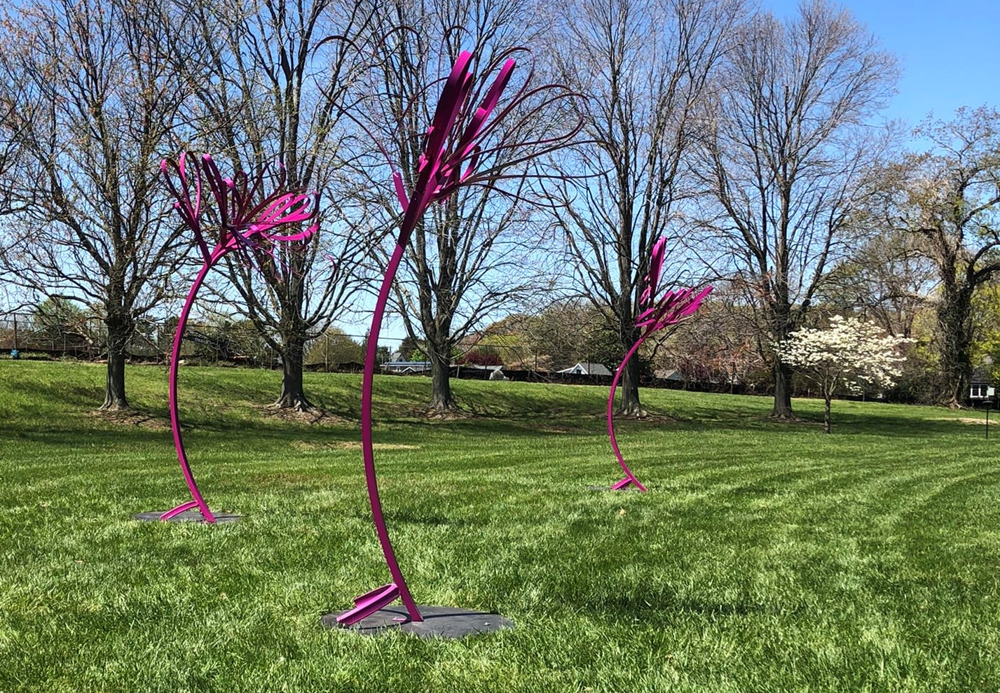 Lewes Squirt Installation in George H. P. Smith Park