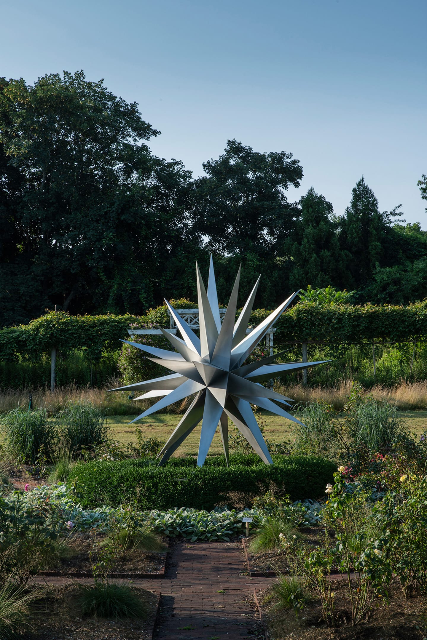 Dark Star at Bridge Gardens