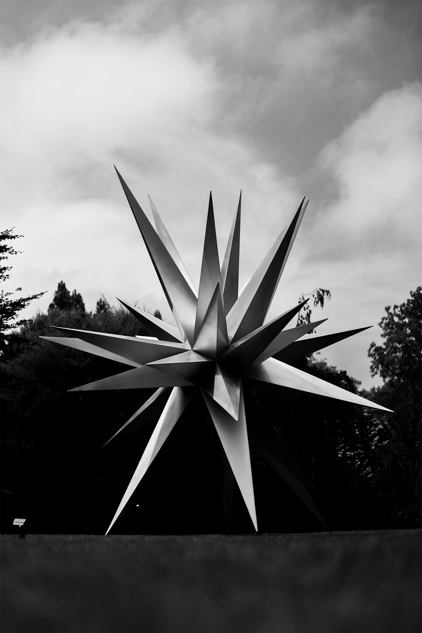 Dark Star at Bridge Gardens