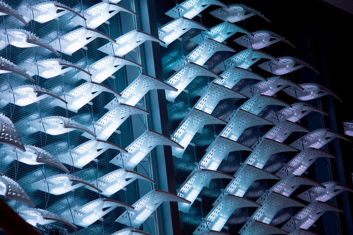 Lightswarm