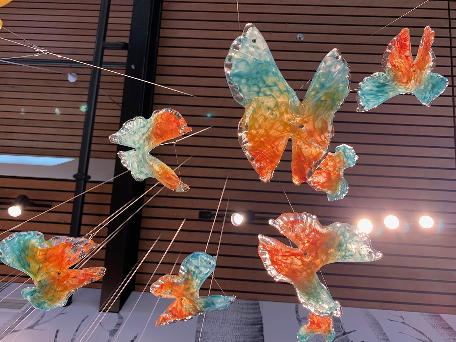When Dreams Take Flight