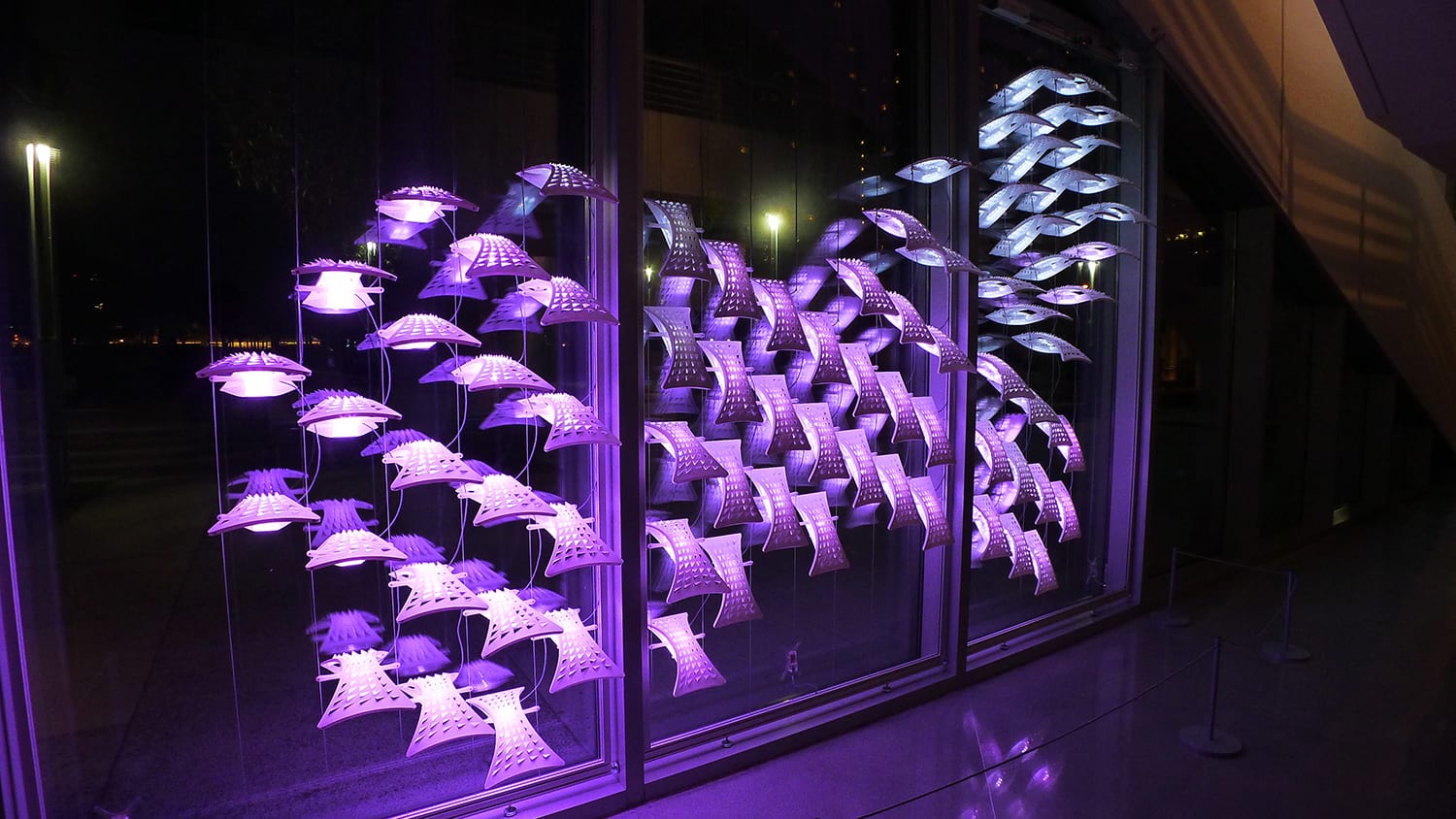 Lightswarm