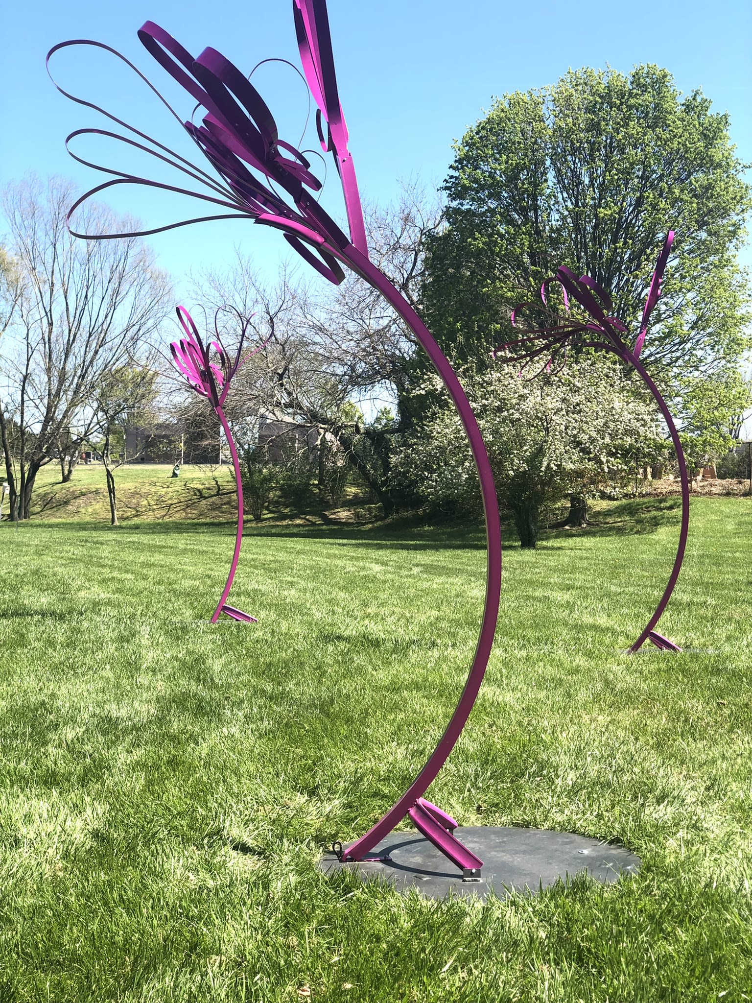 Lewes Squirt Installation in George H. P. Smith Park