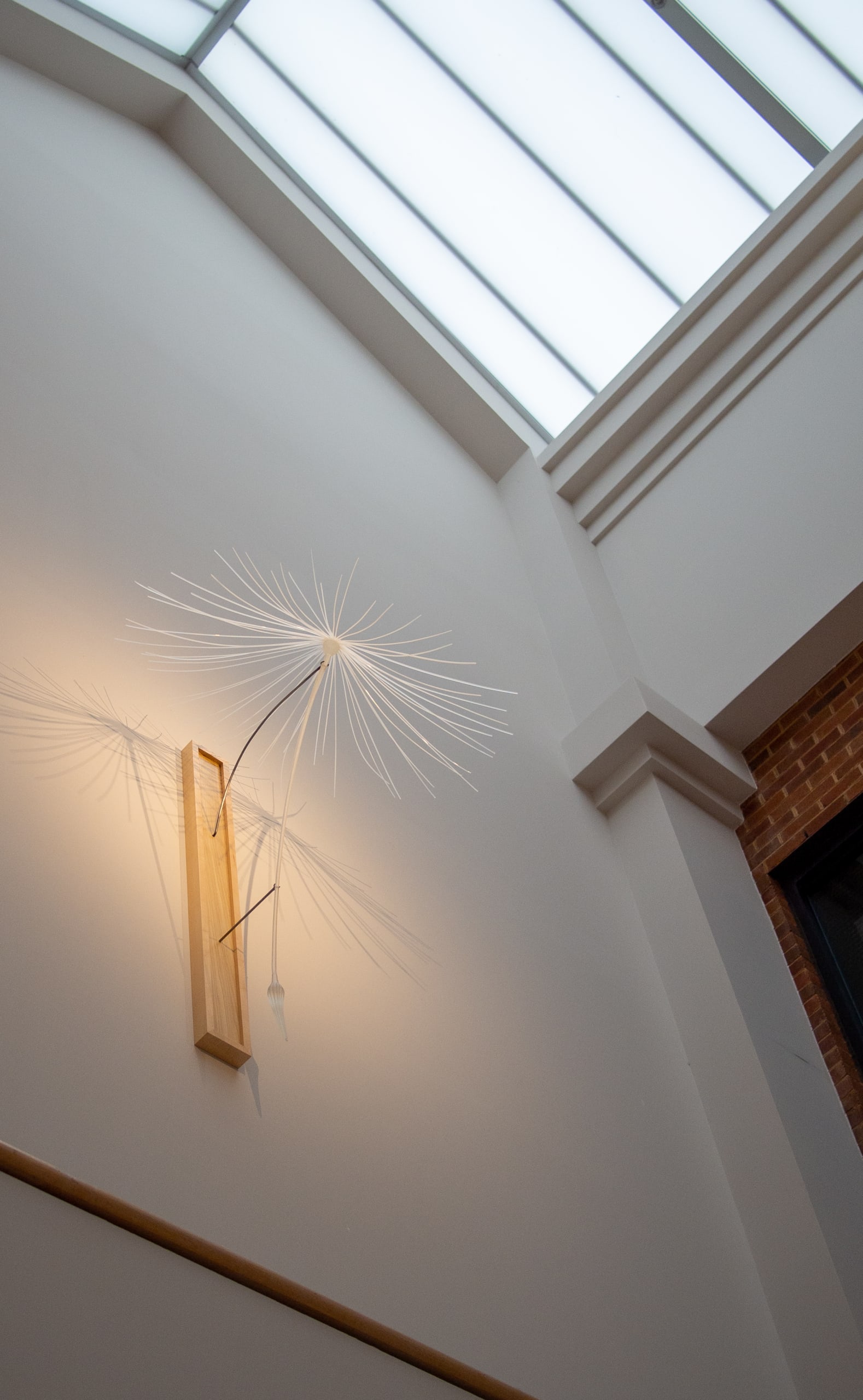 Signs of Lift Solo Exhibition Montgomery Museum of Fine Art