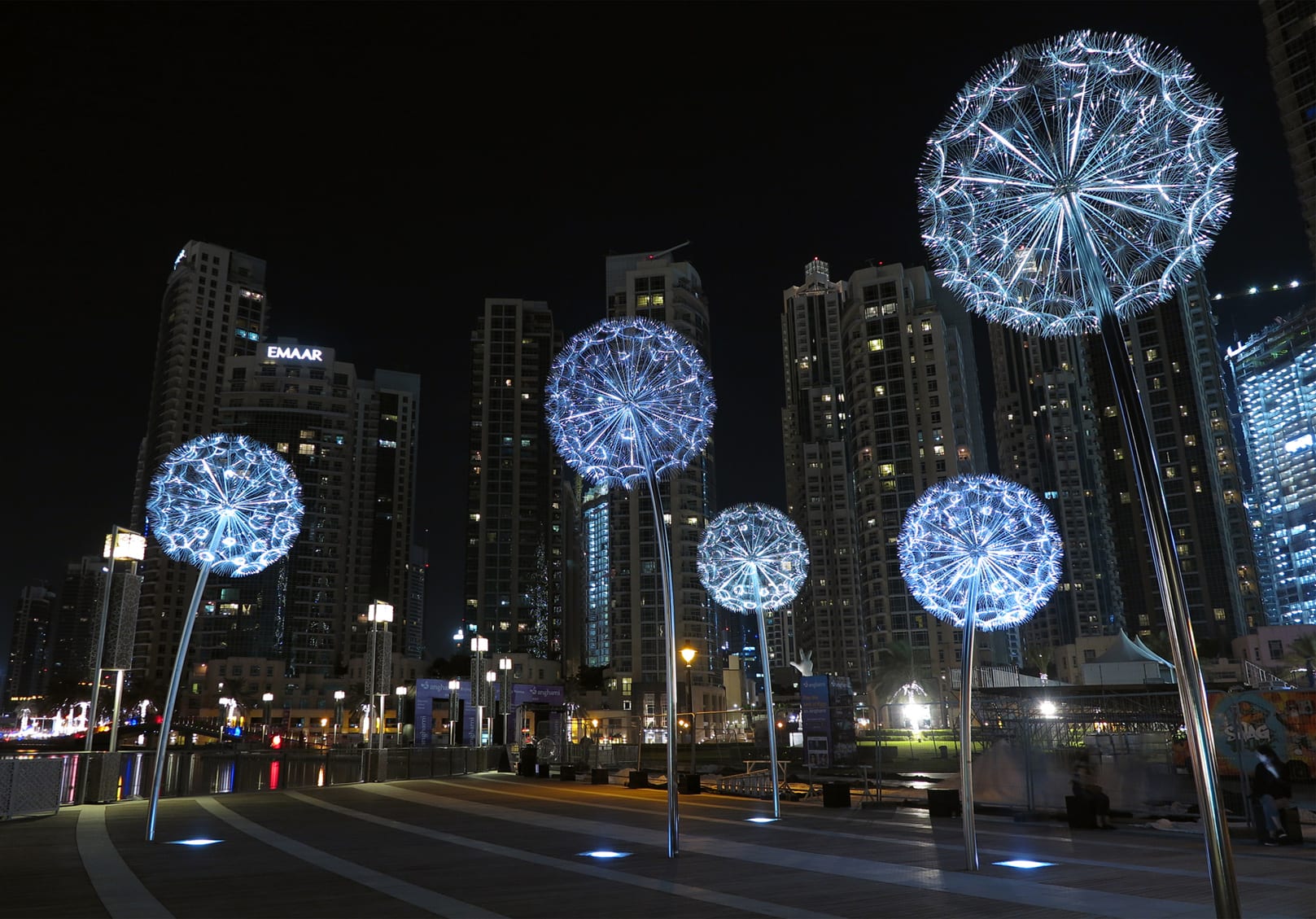 Dandelions Dubai