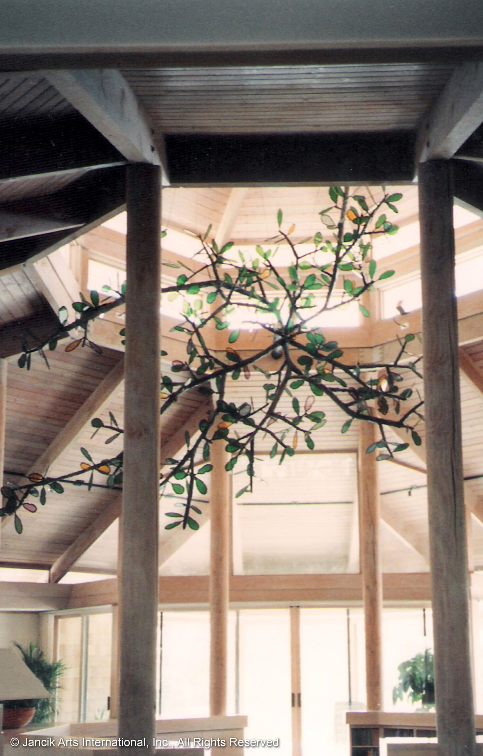 Oak Branch