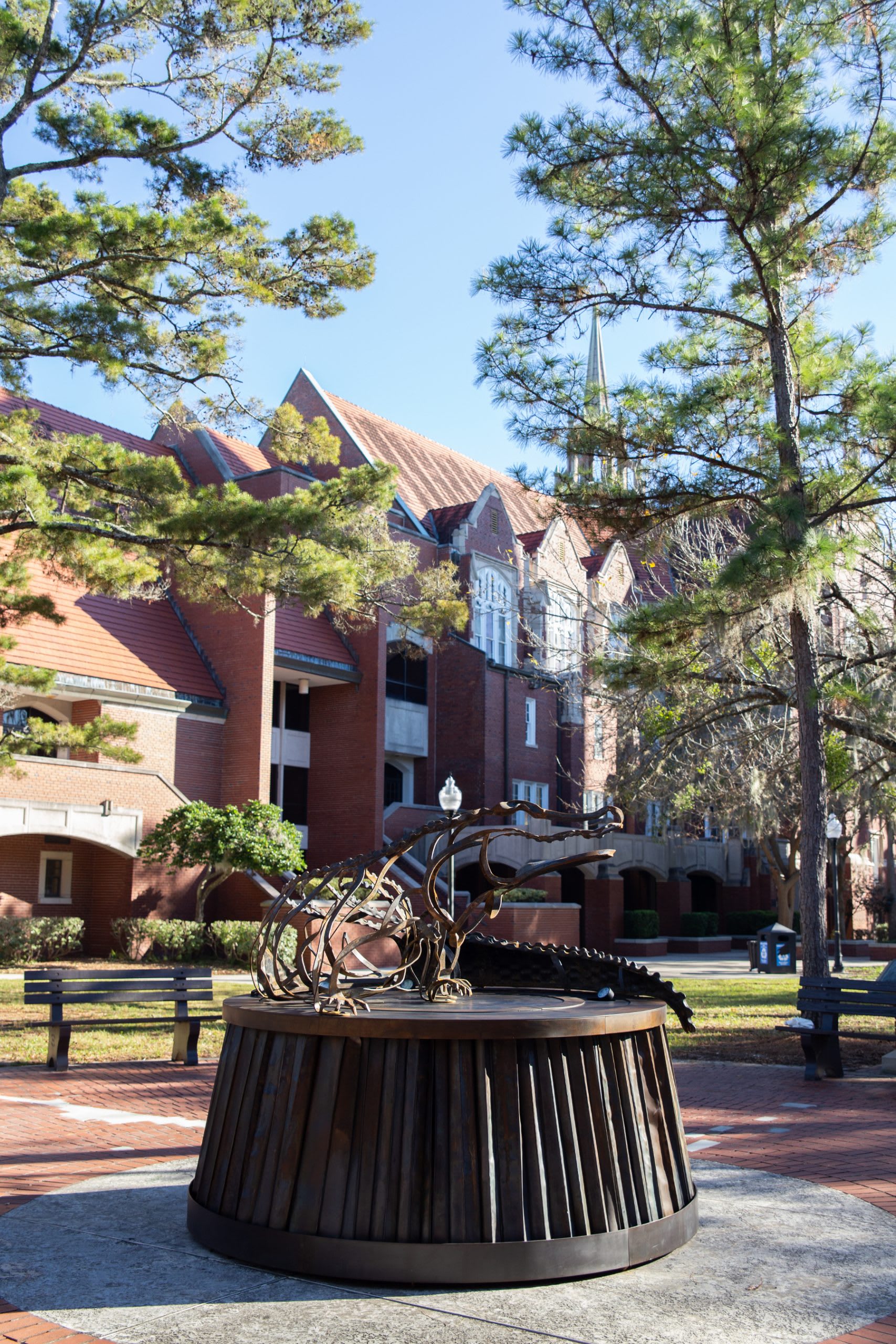 University of Florida Lighted Gator