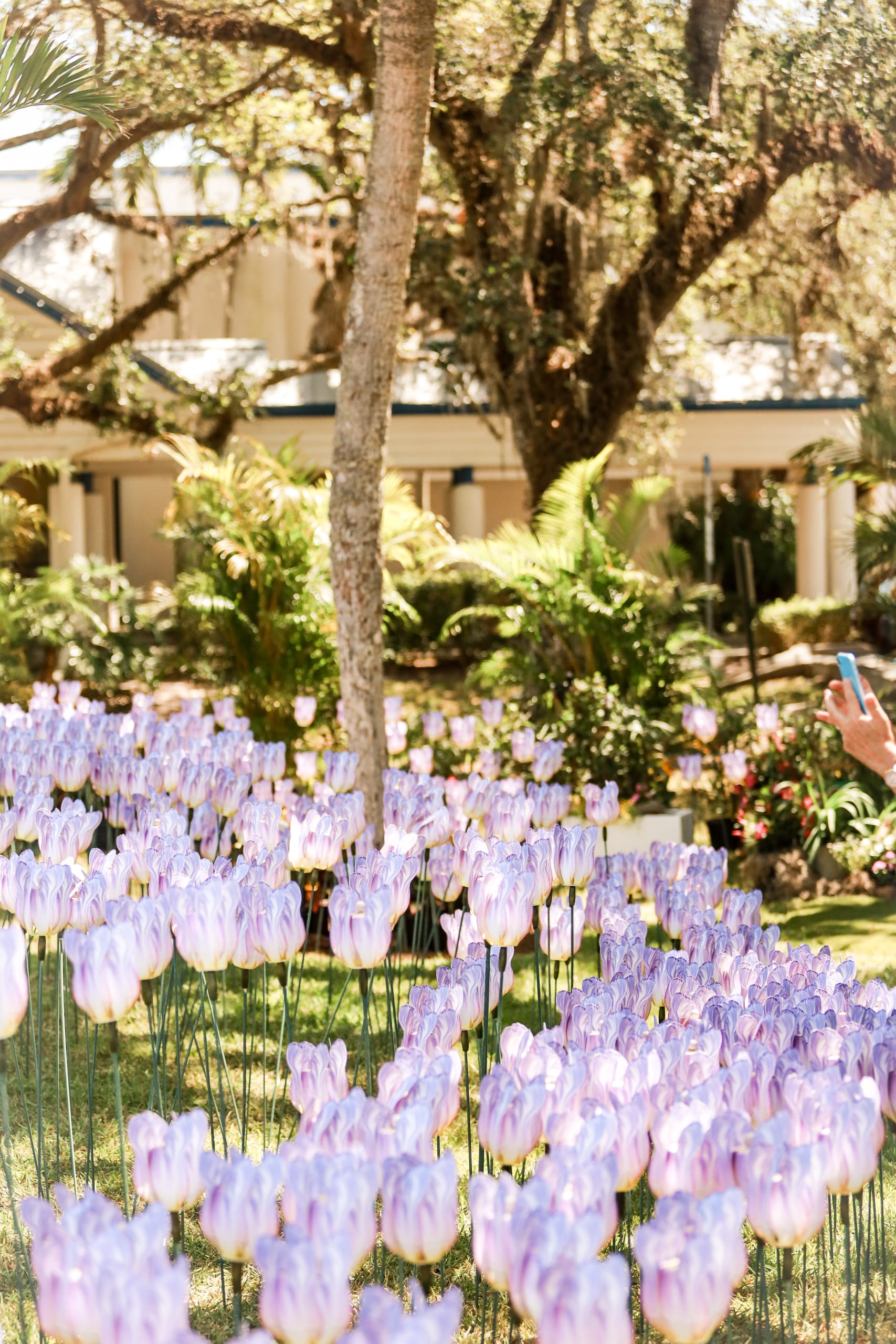 IRCHSC Mother’s Day Garden of Love – 1000 Lavender Tulip Pinwheels