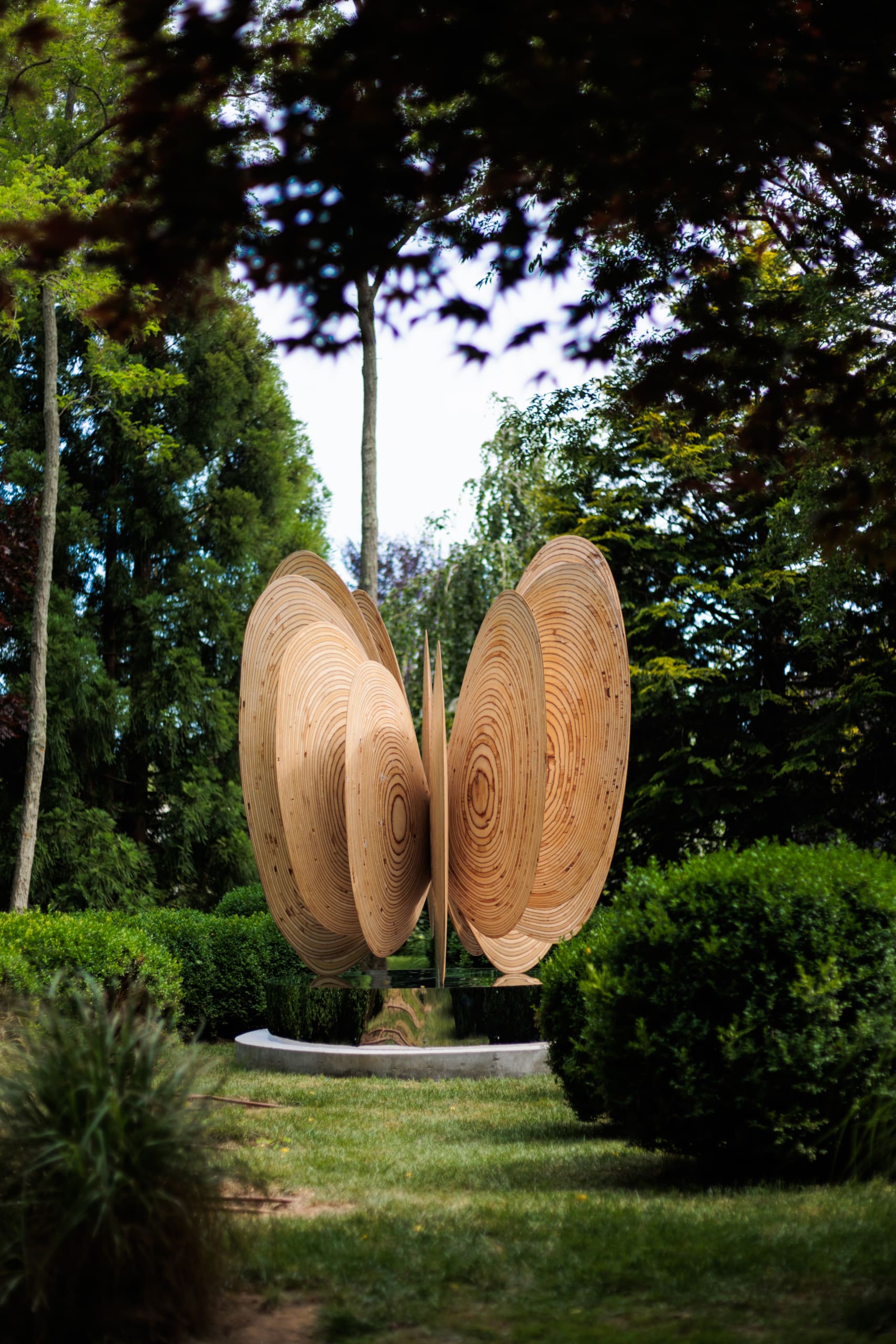 Butterfly Effect No.1 at Bridge Gardens