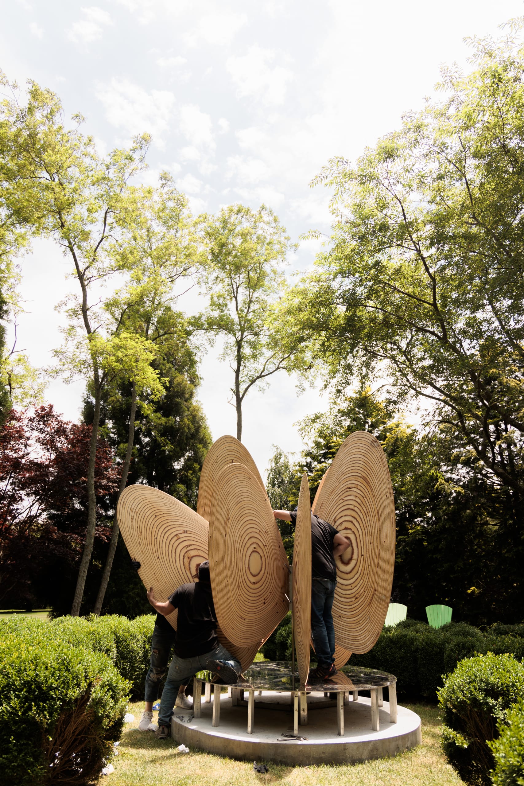 Butterfly Effect No.1 at Bridge Gardens