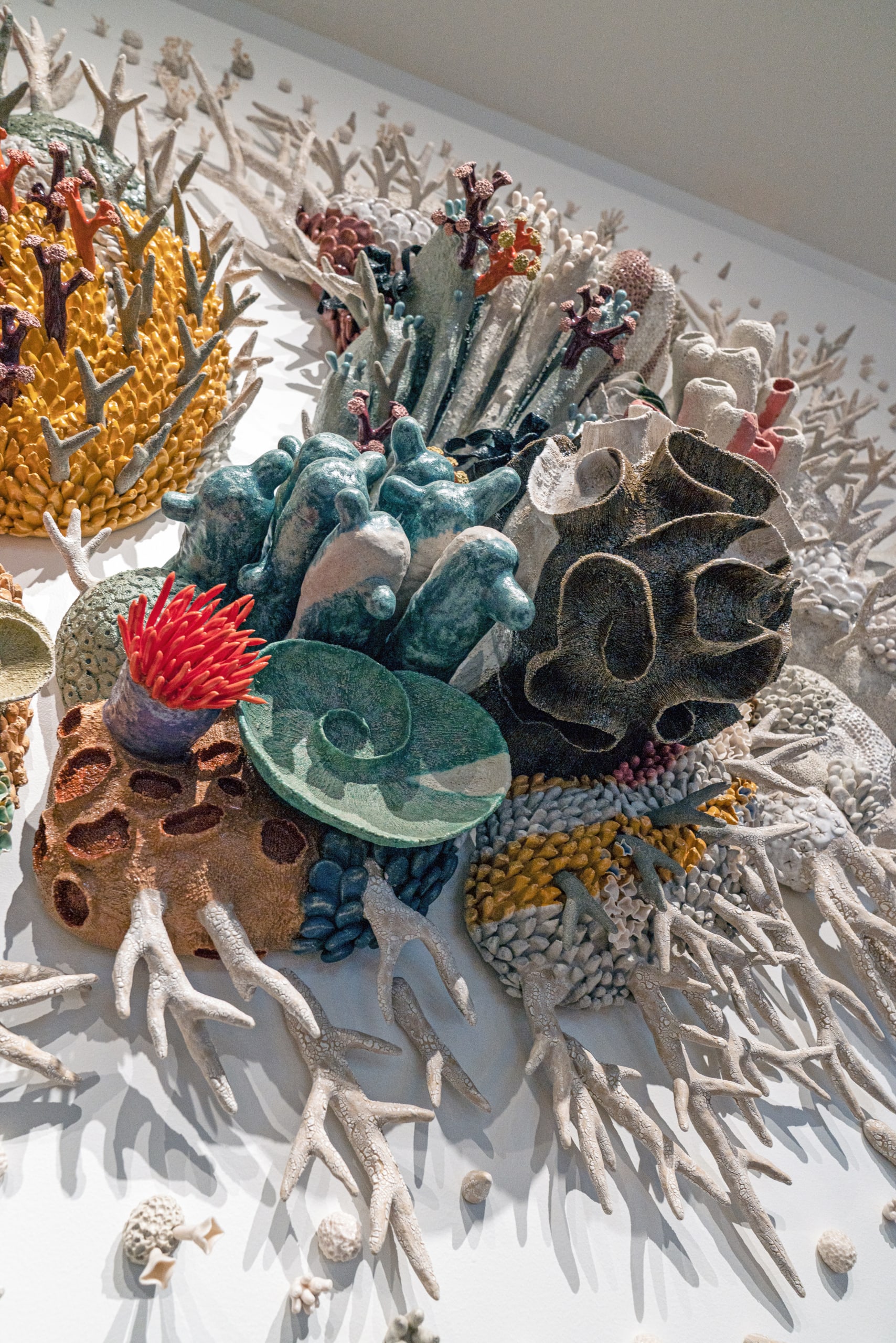 Our Changing Seas VII