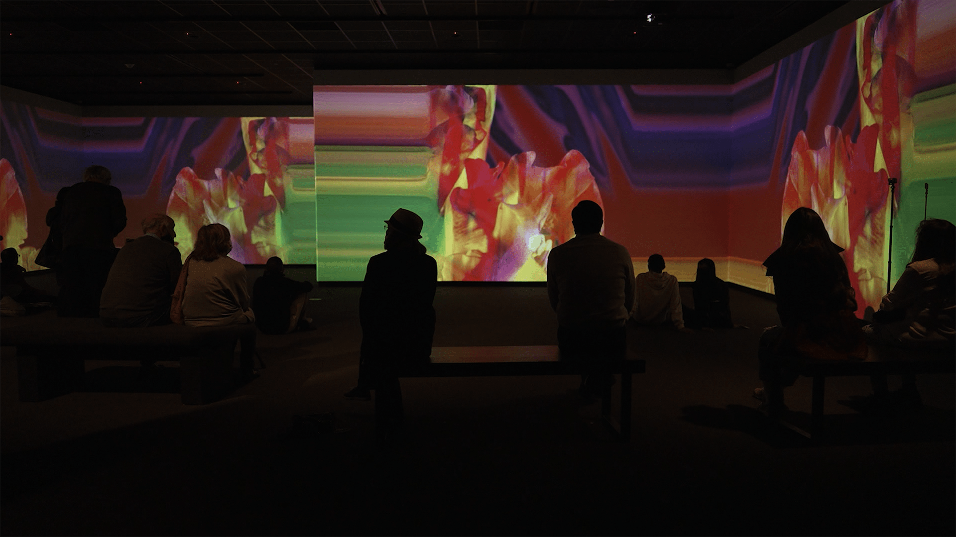 Let in, Let go Immersive Experience