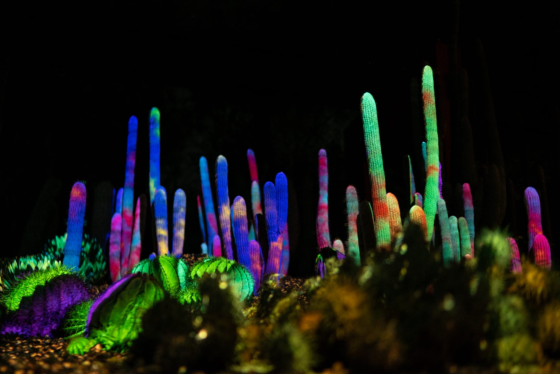 Electric Desert