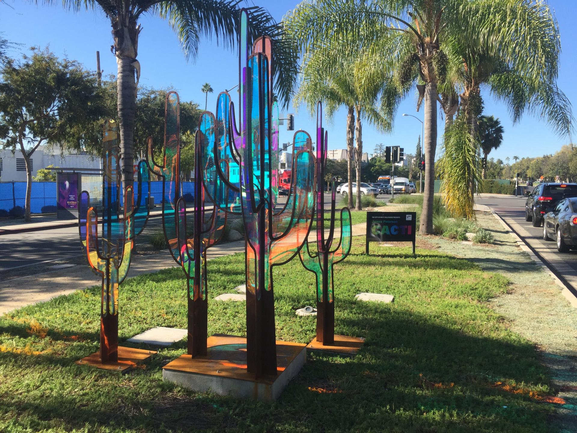 CACTI Series