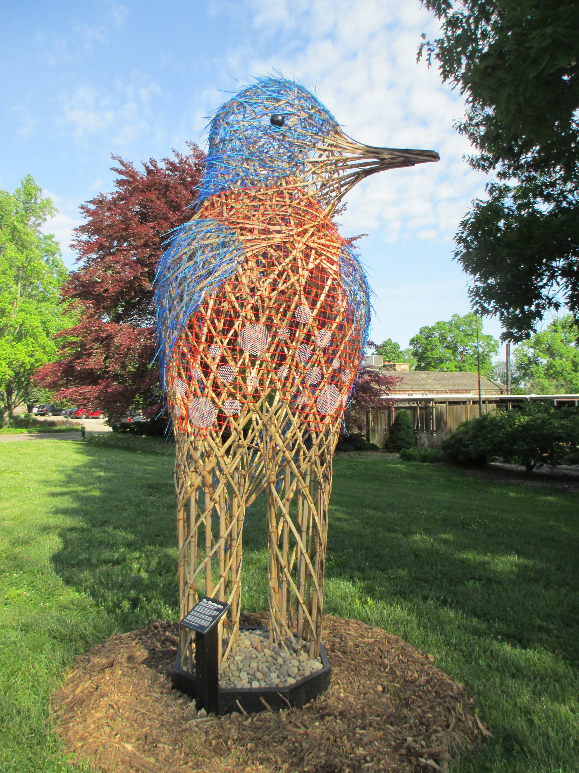Avian Avatars at the Dawes Arboretum