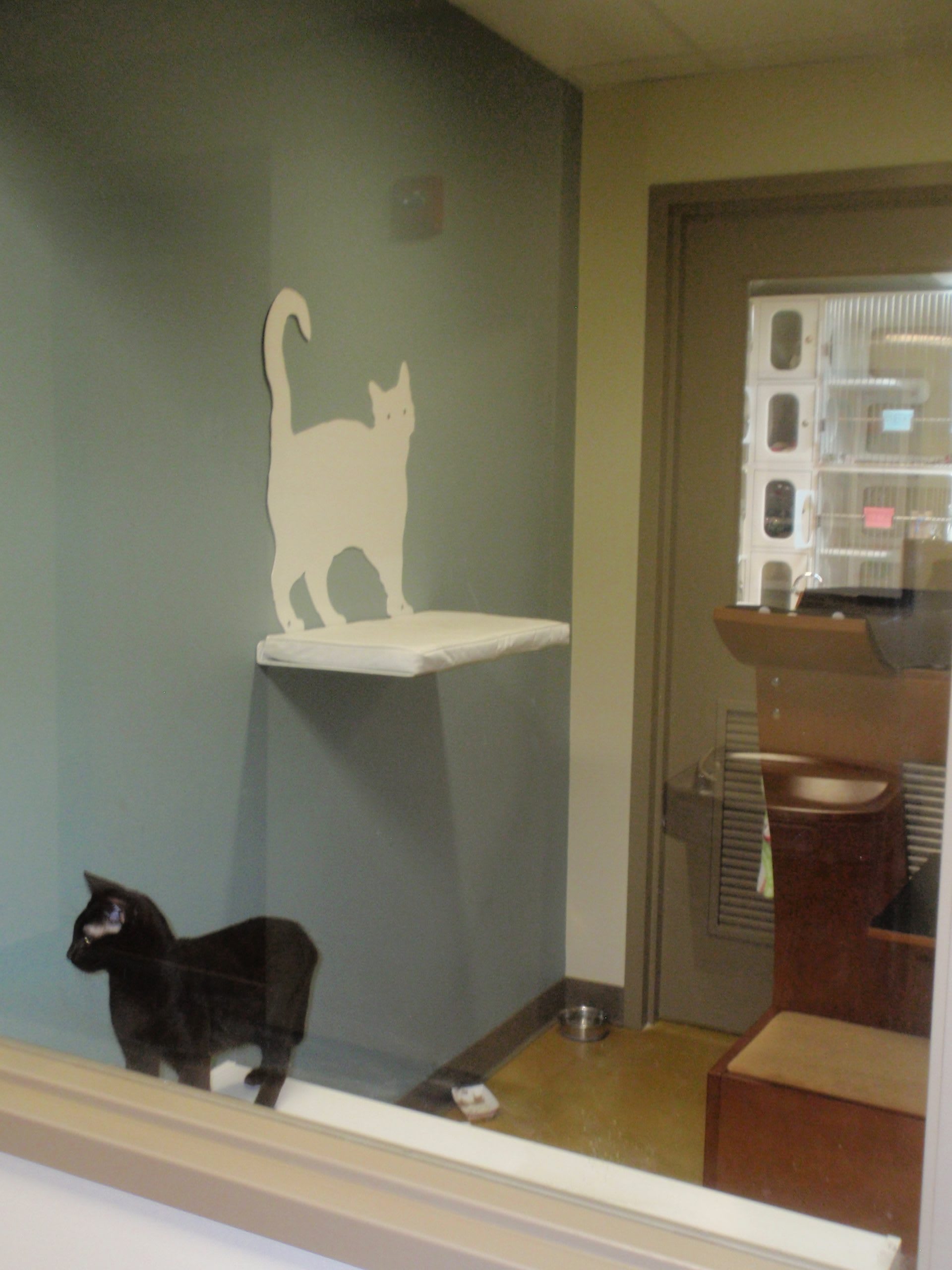 Maryland SPCA