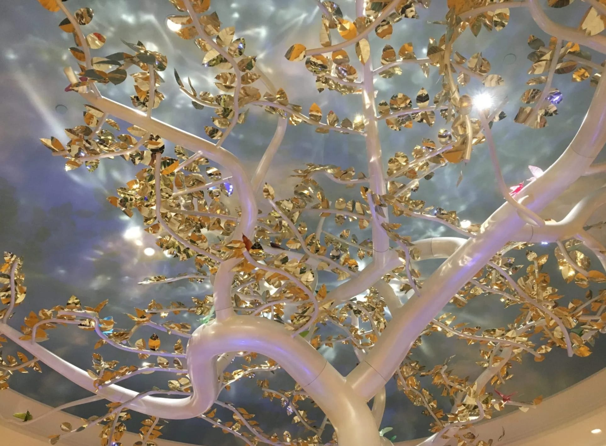 The Wishing Tree