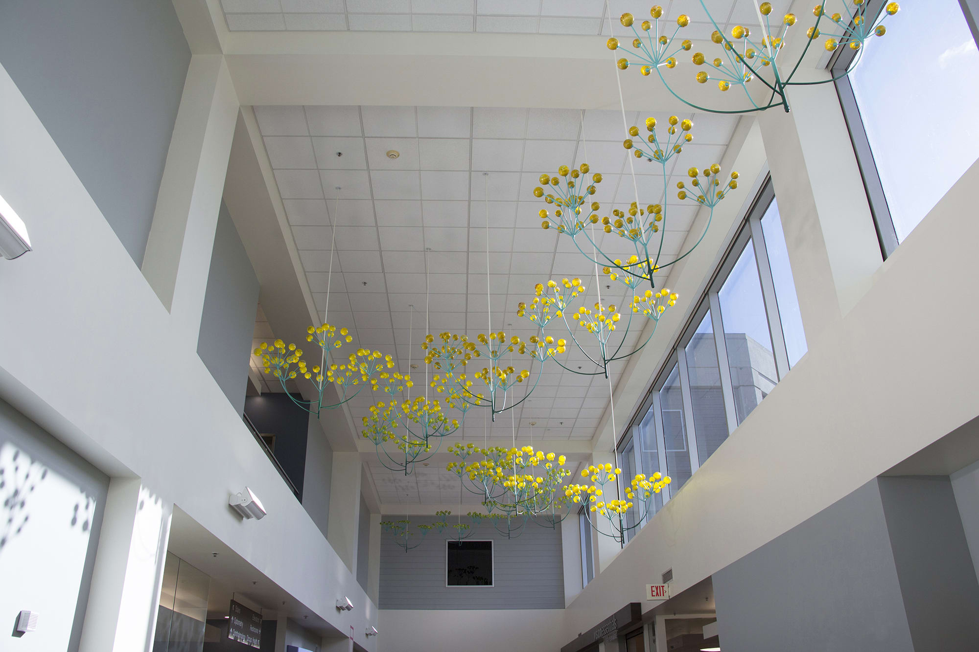 Flower Trail
