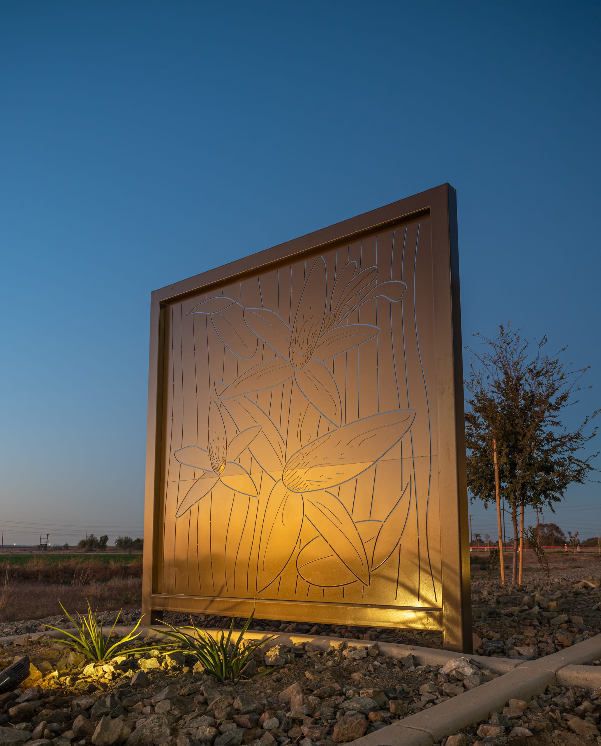 Alamar, Avondale, Arizona
