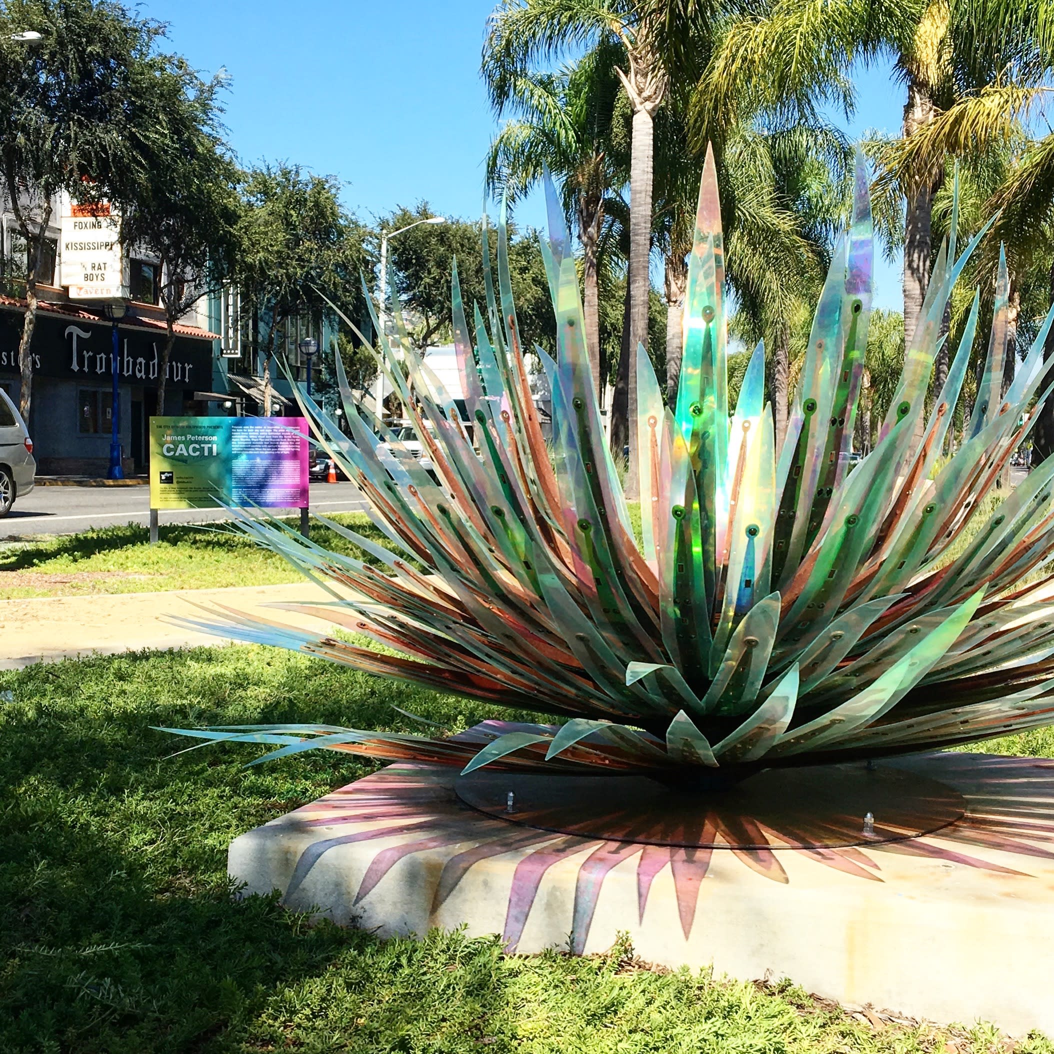 CACTI Series