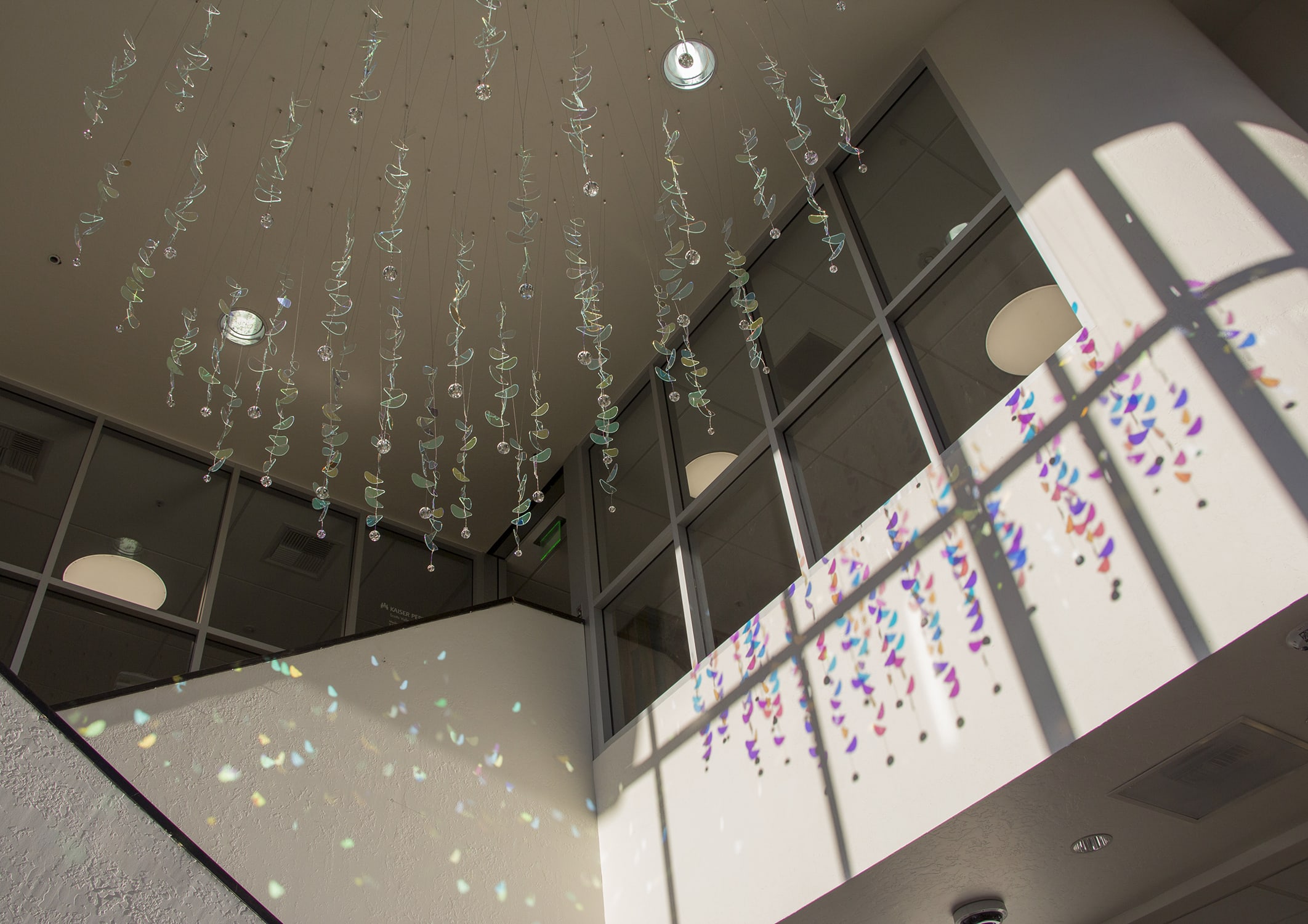 Petals of Light