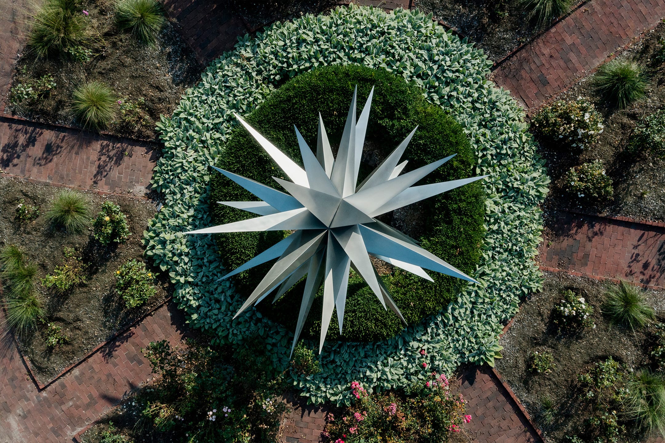 Dark Star at Bridge Gardens