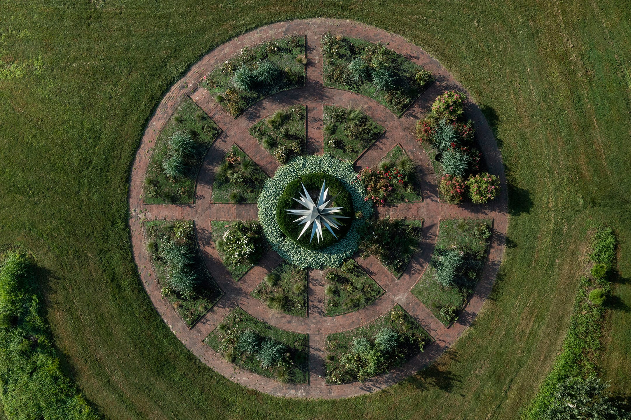 Dark Star at Bridge Gardens