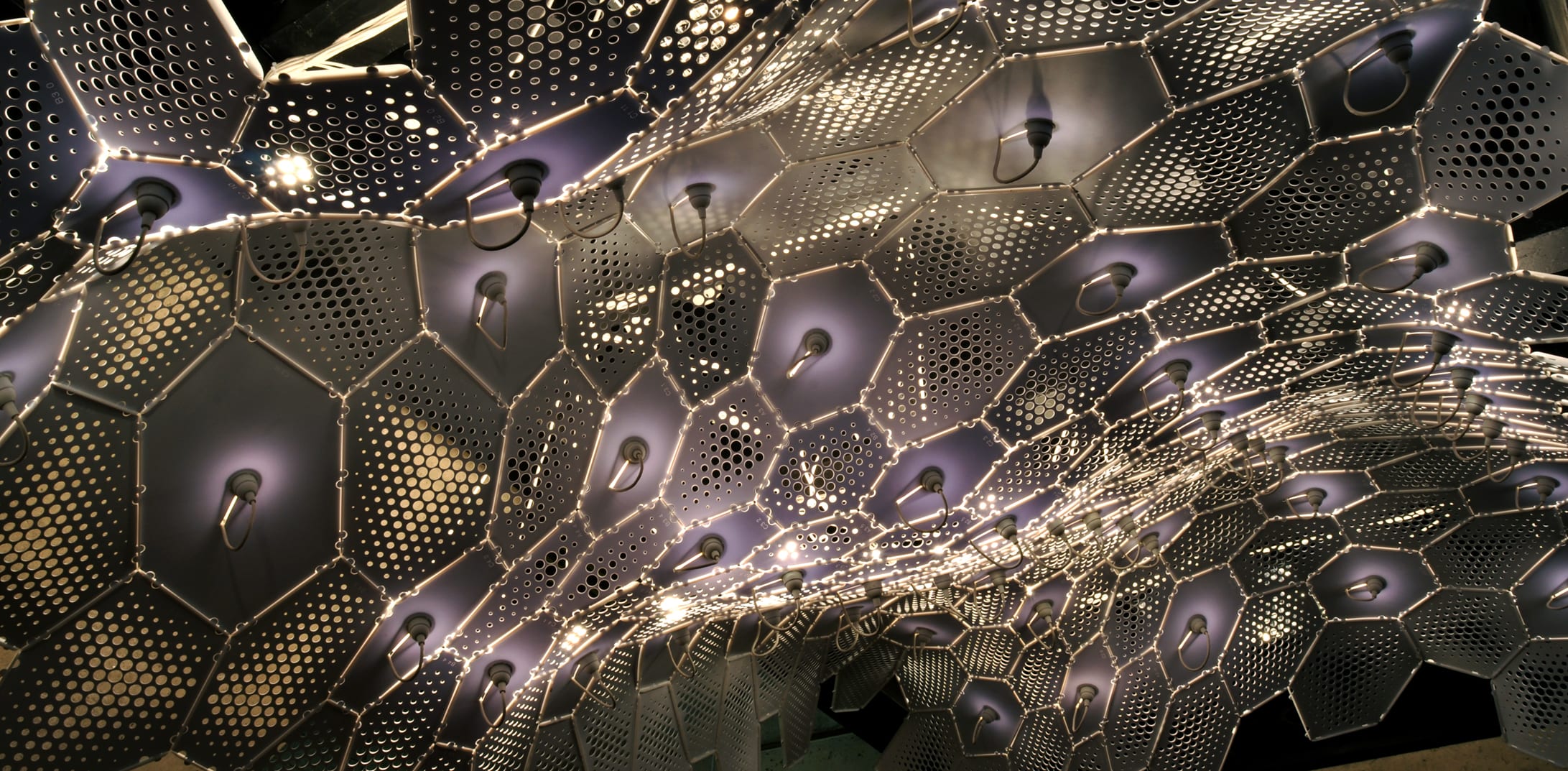 EXOtique
