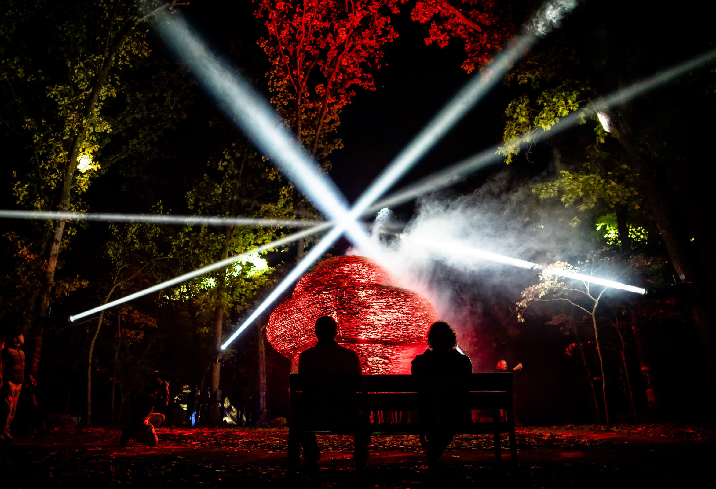 North Forest Lights