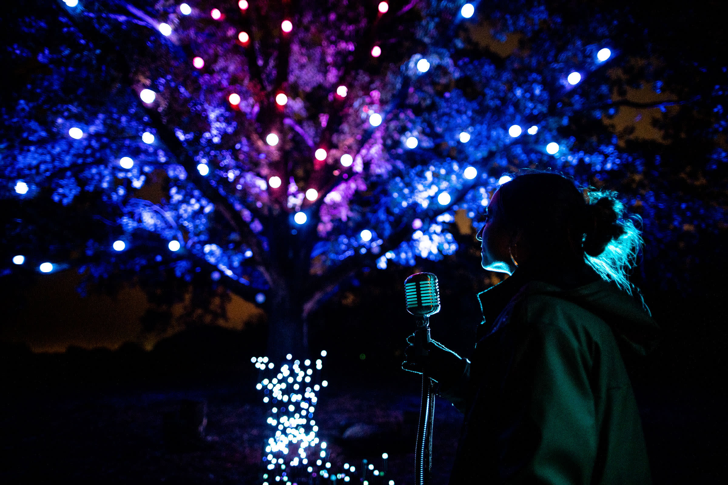 North Forest Lights