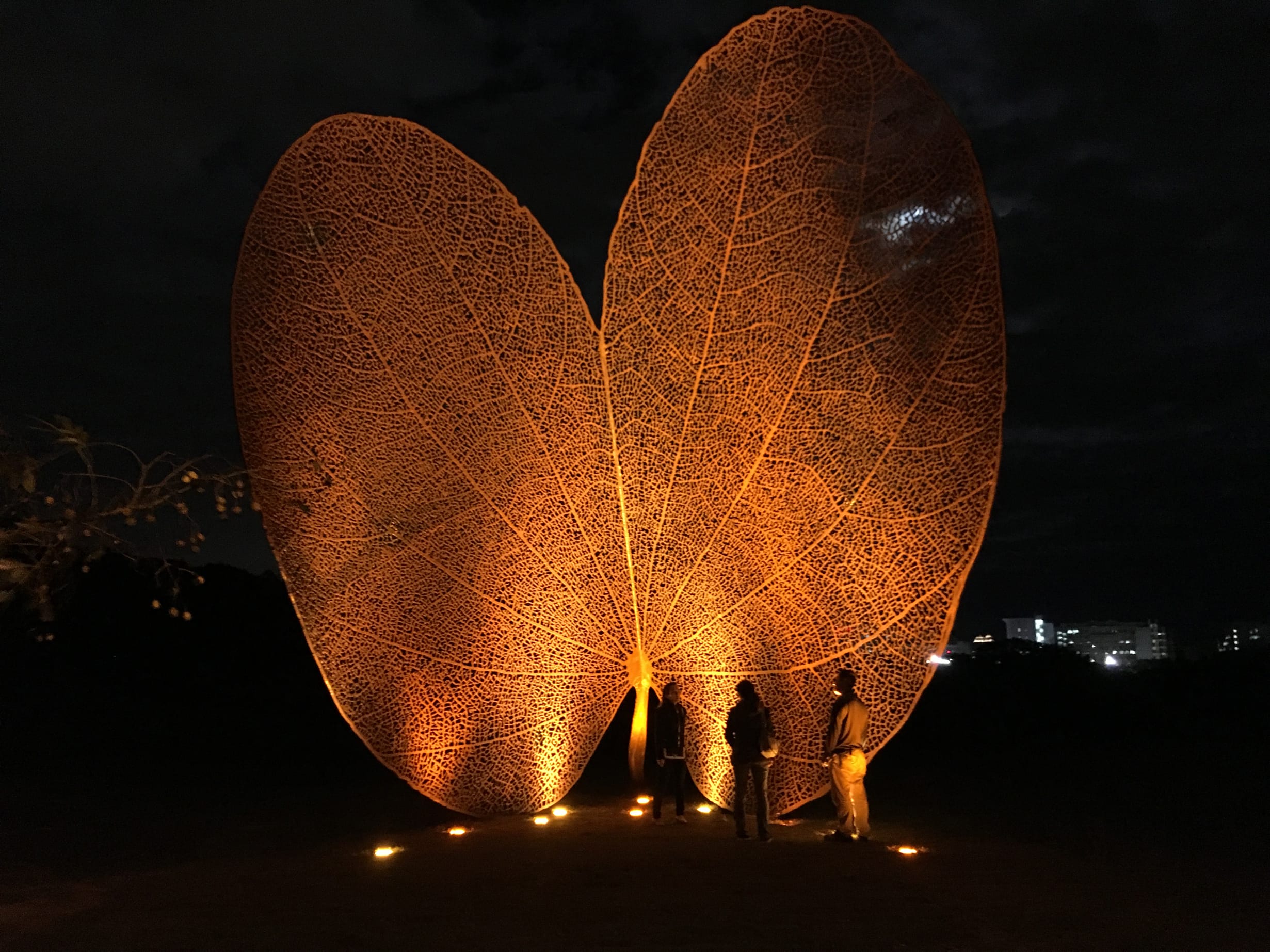 Leaf TsingHua