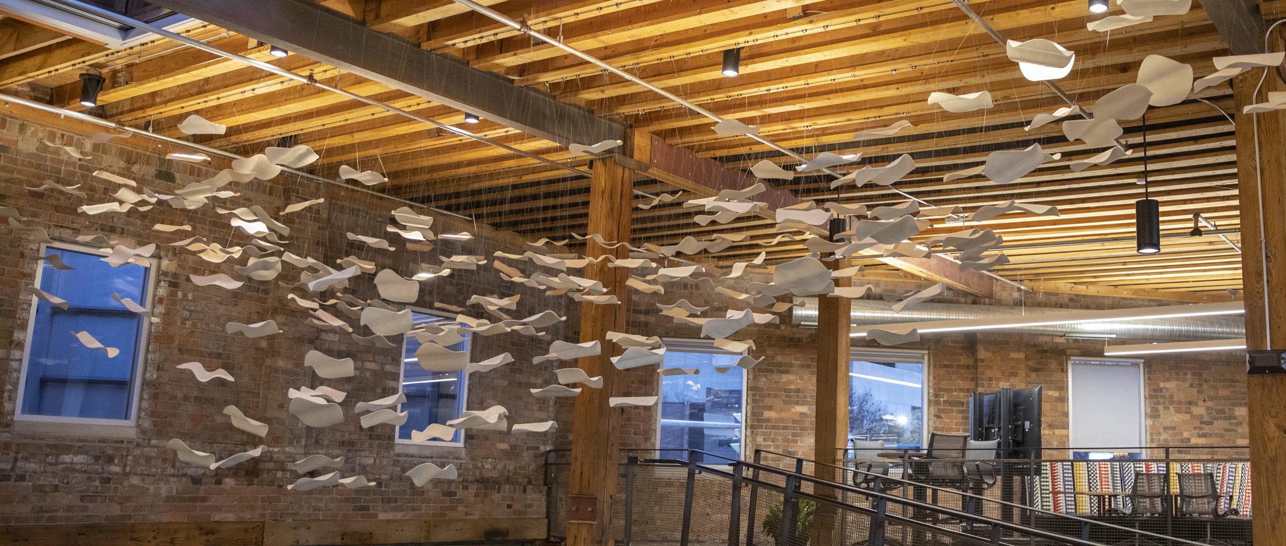 Murmuration