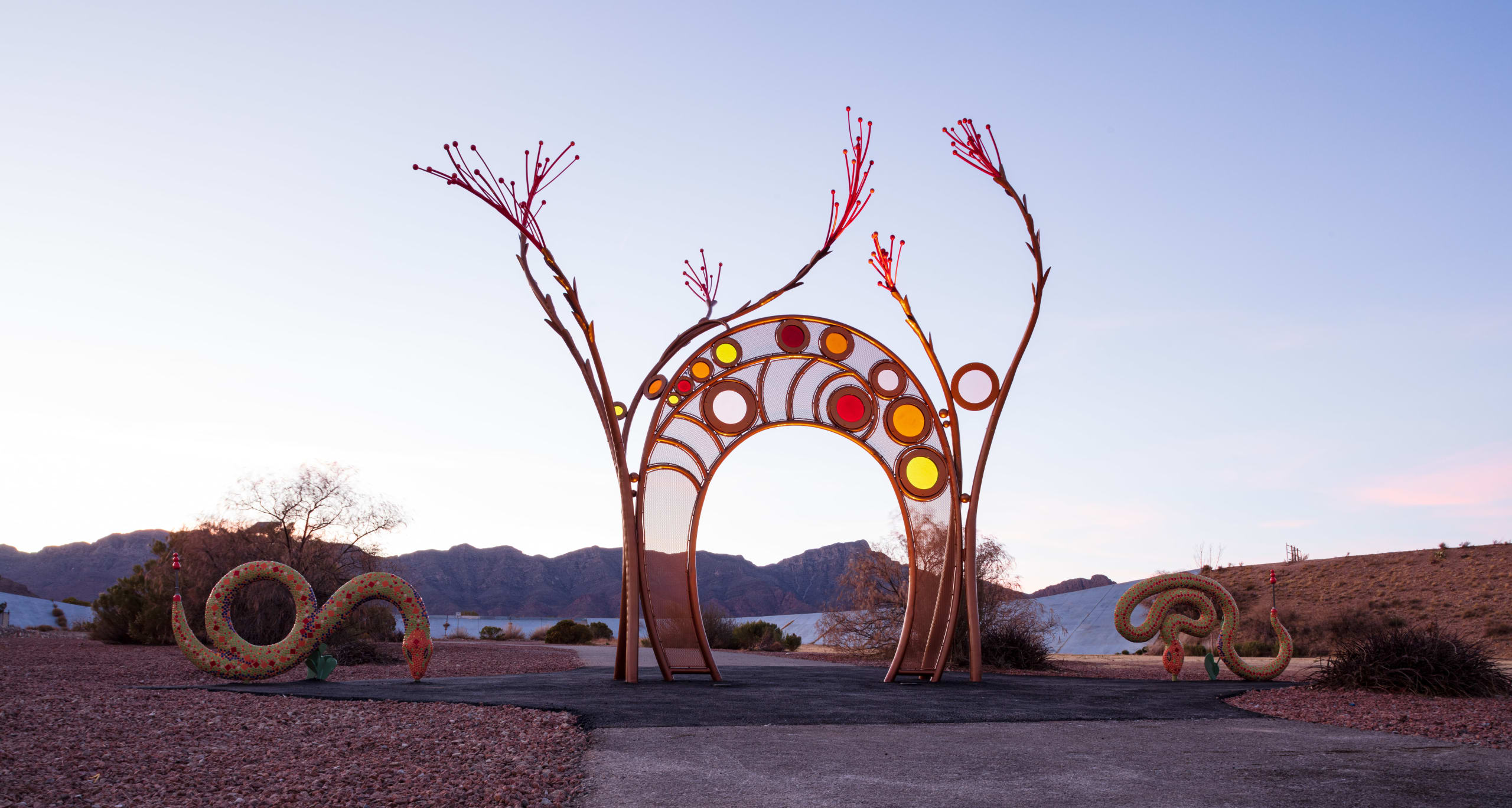 Desert Blossom