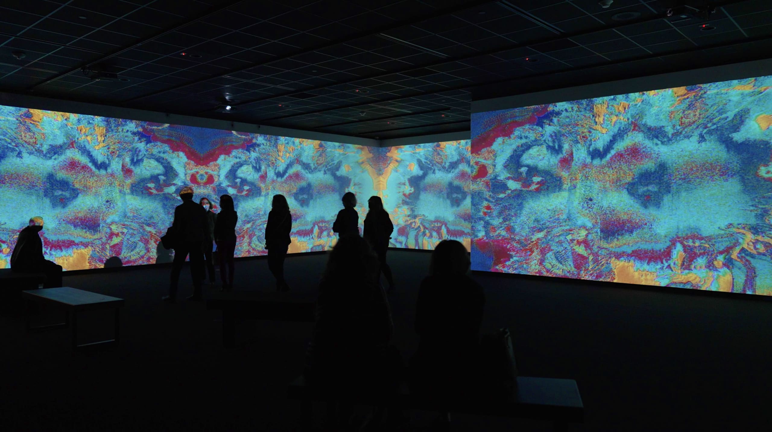 Let in, Let go Immersive Experience