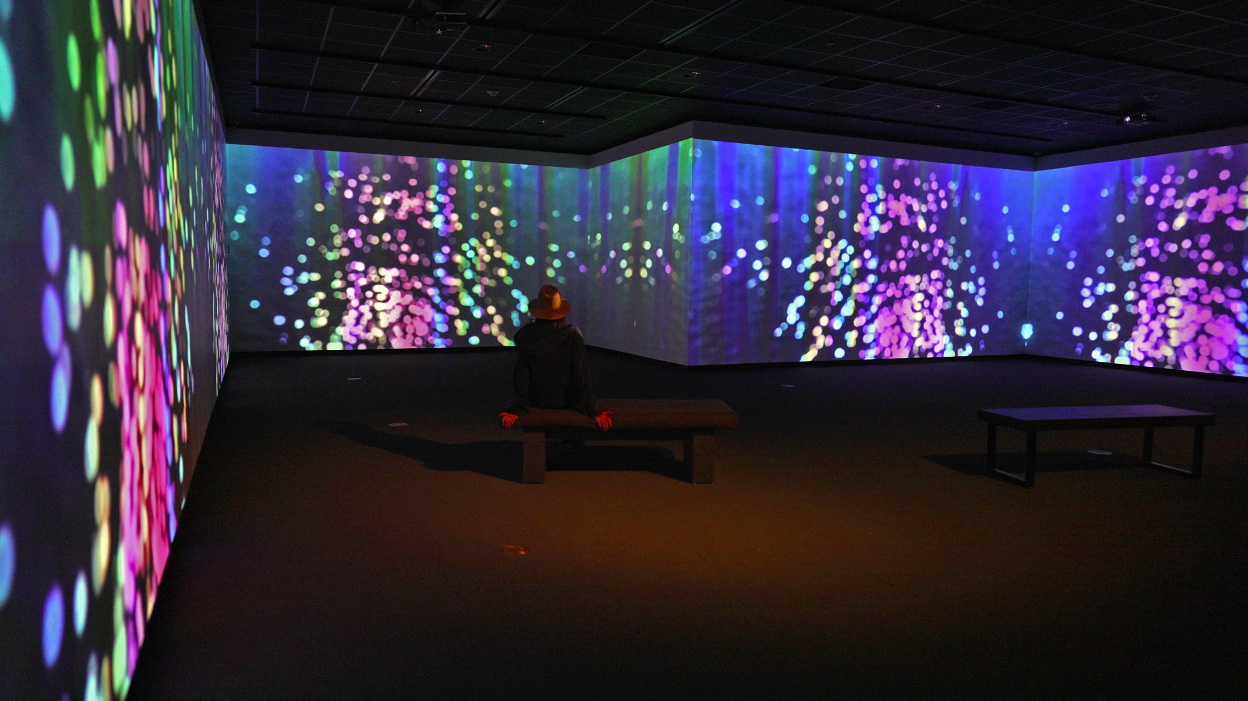 Let in, Let go Immersive Experience