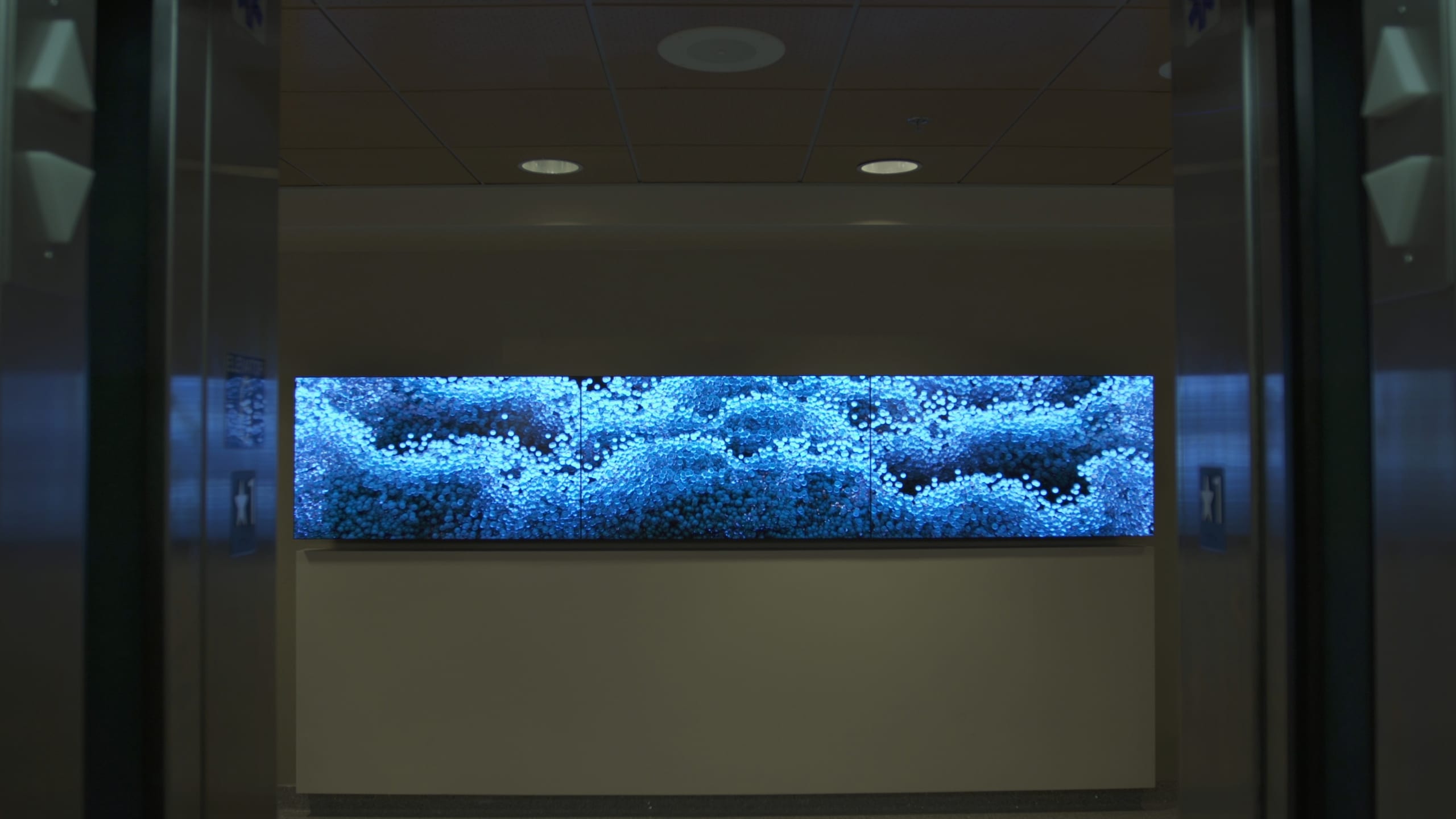 Singularity