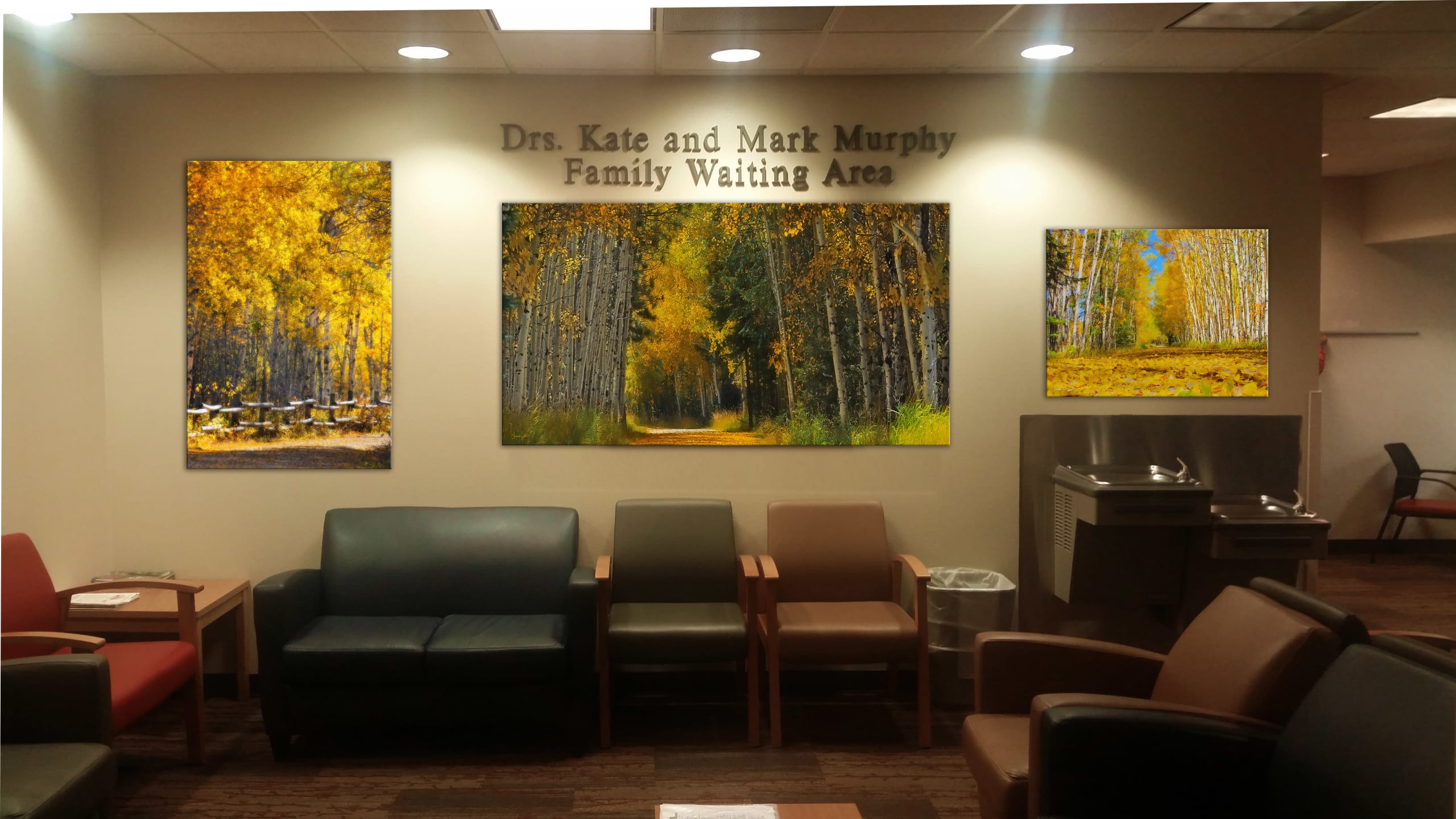 Memorial Hospital Remodel Interior Art