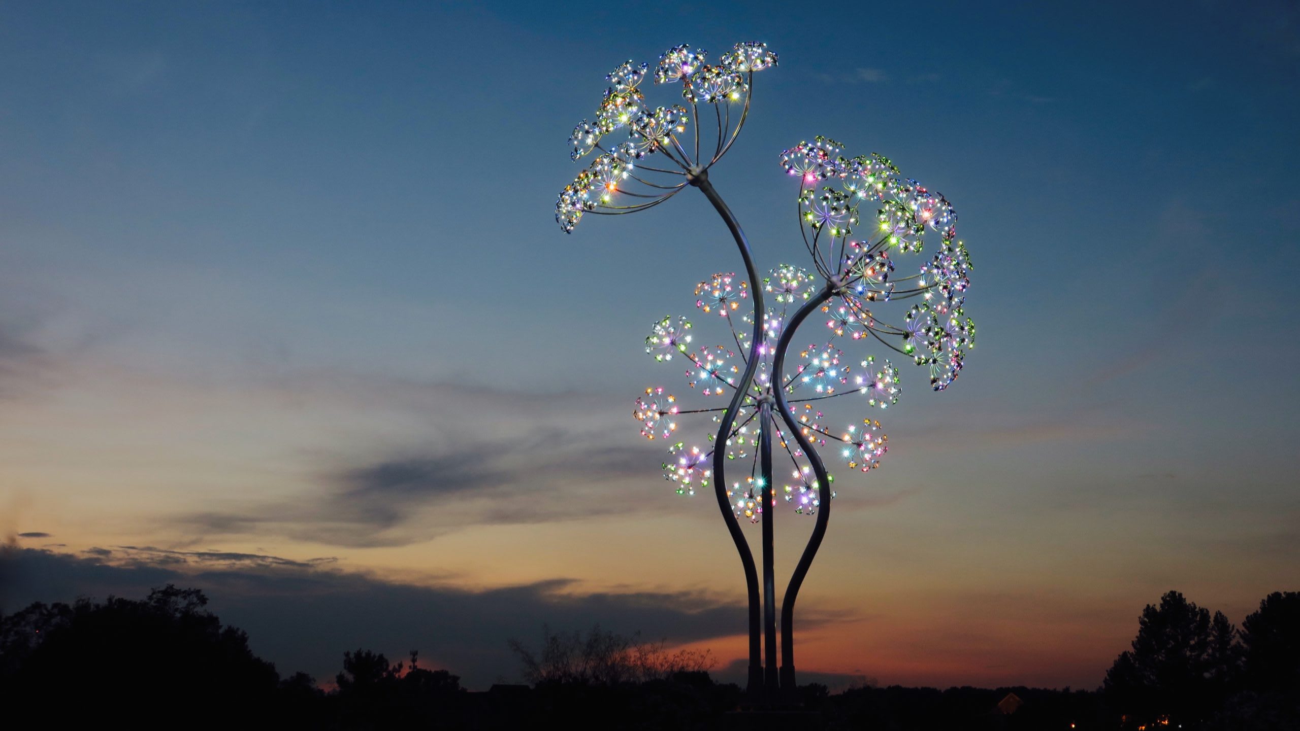 Beacon Bloom
