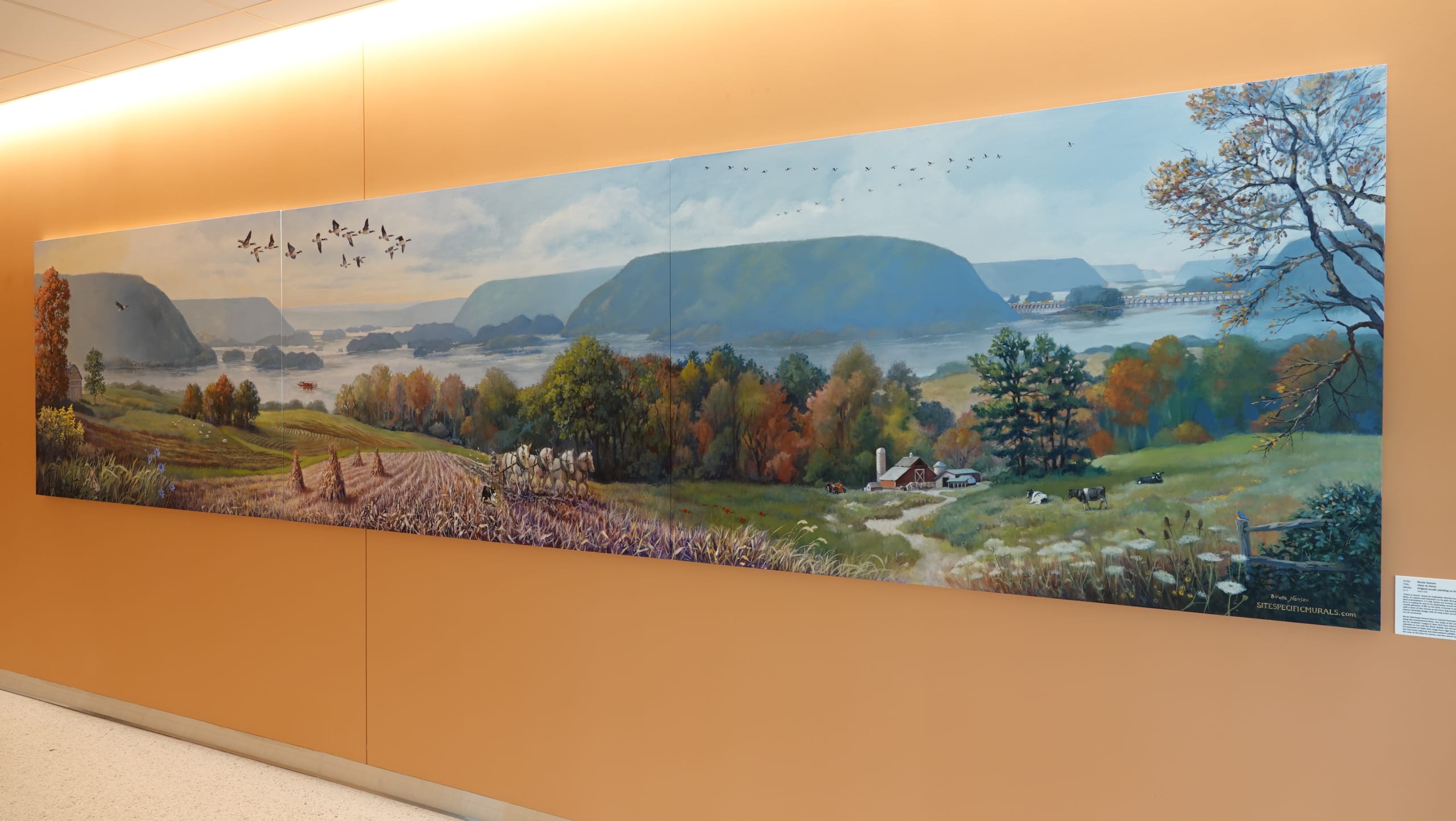 Penn State Health Hampden Medical Center – Arts Program