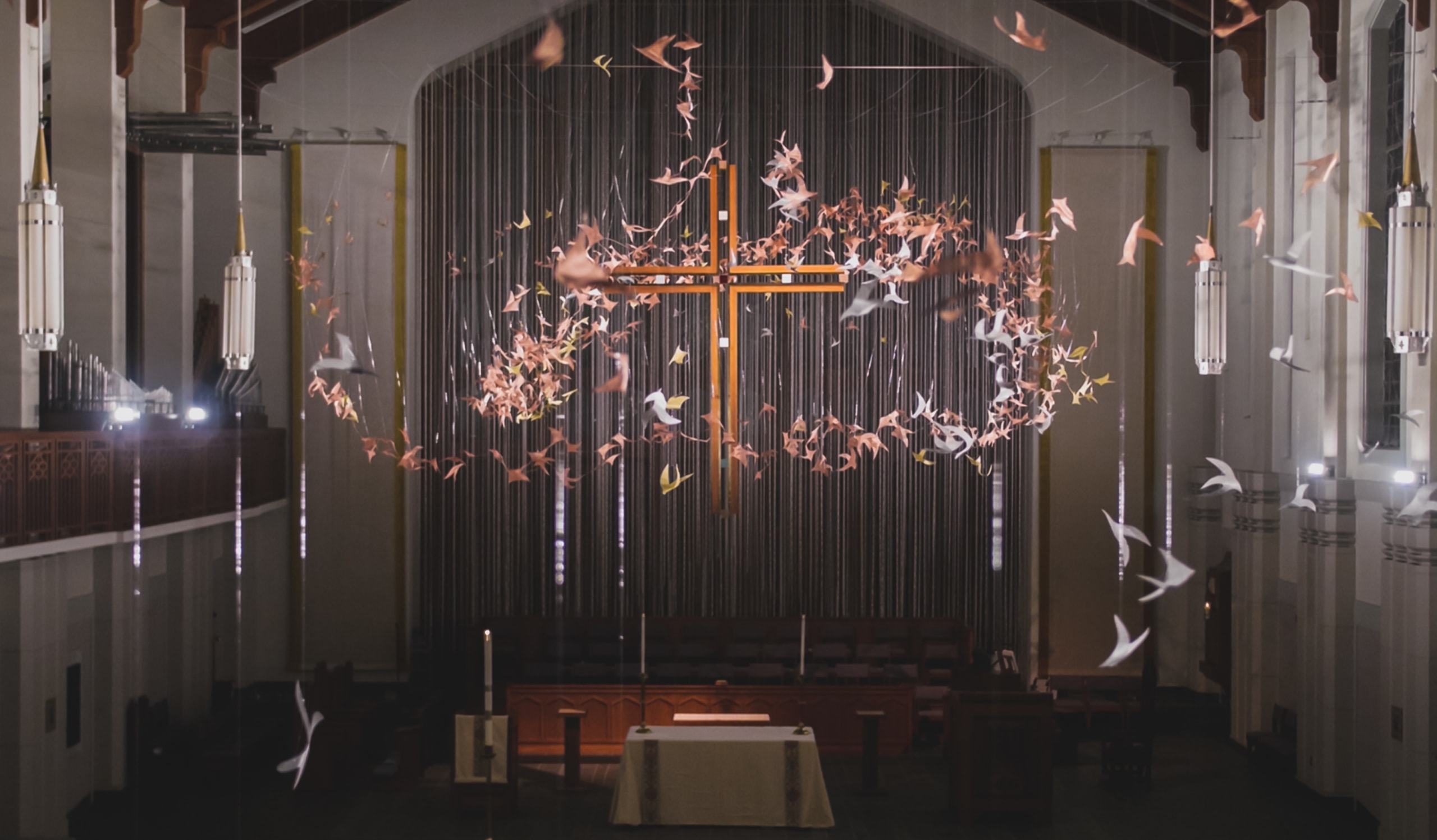 Murmuration
