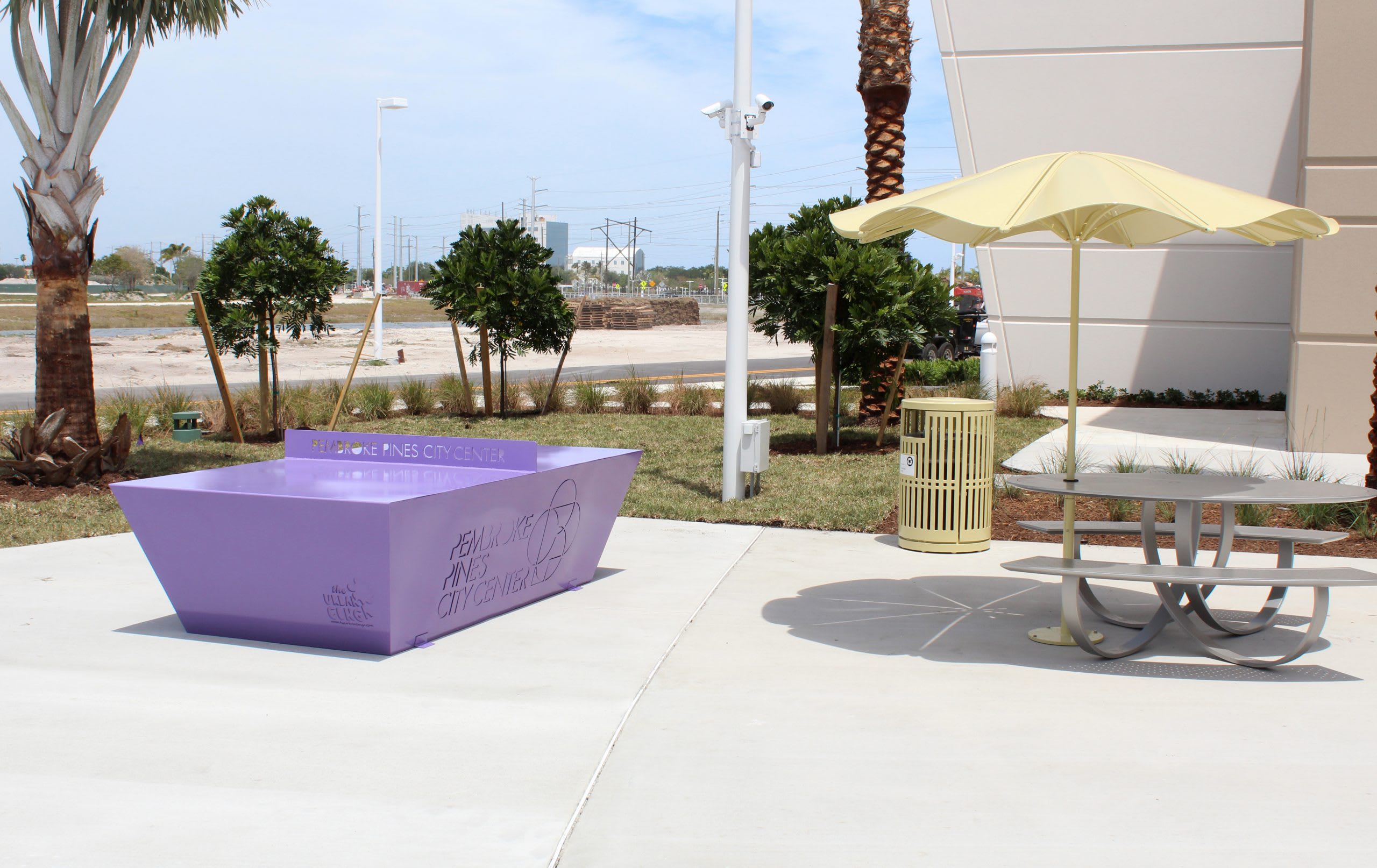 Pong in the Park