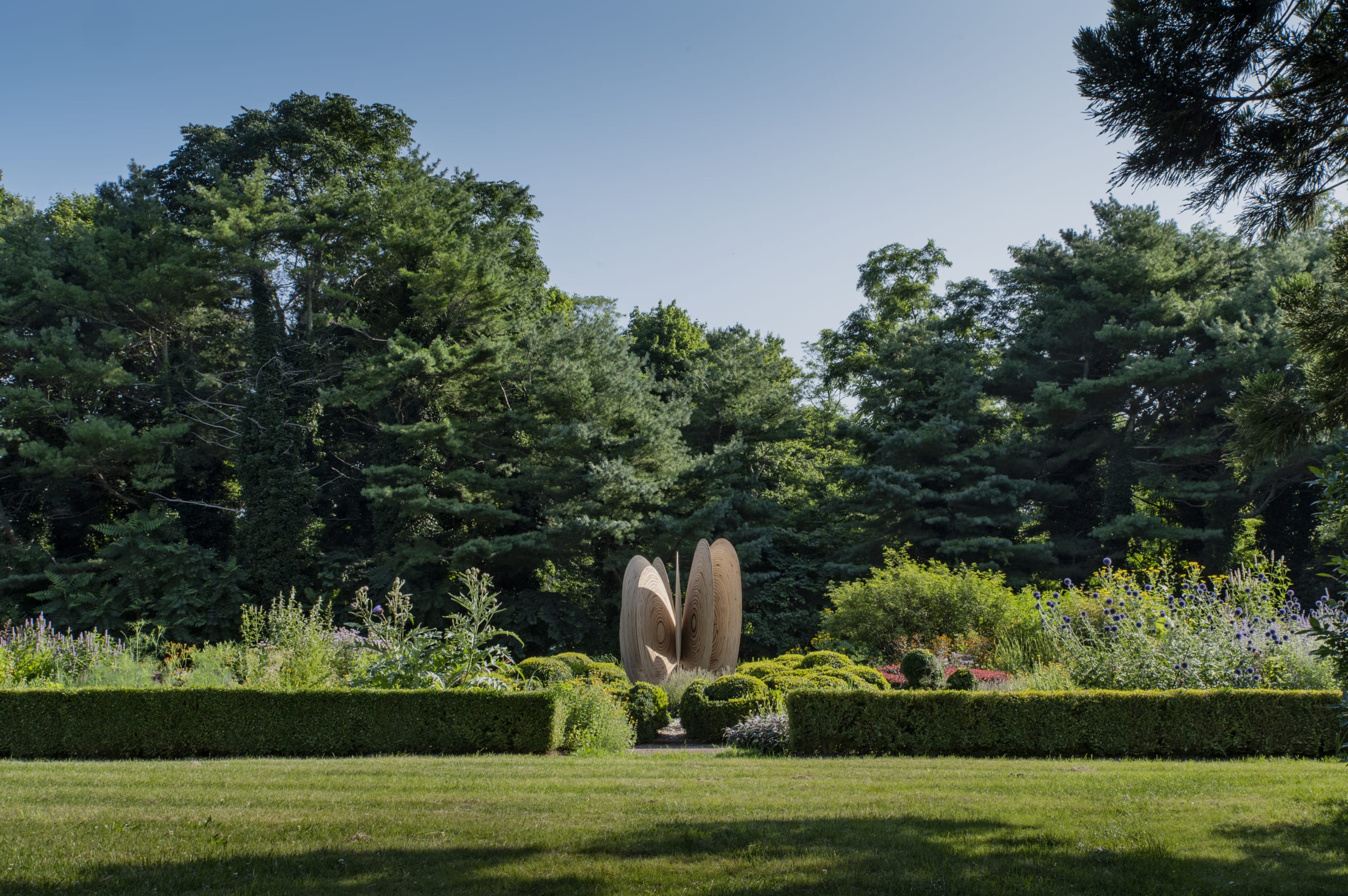 Butterfly Effect No.1 at Bridge Gardens