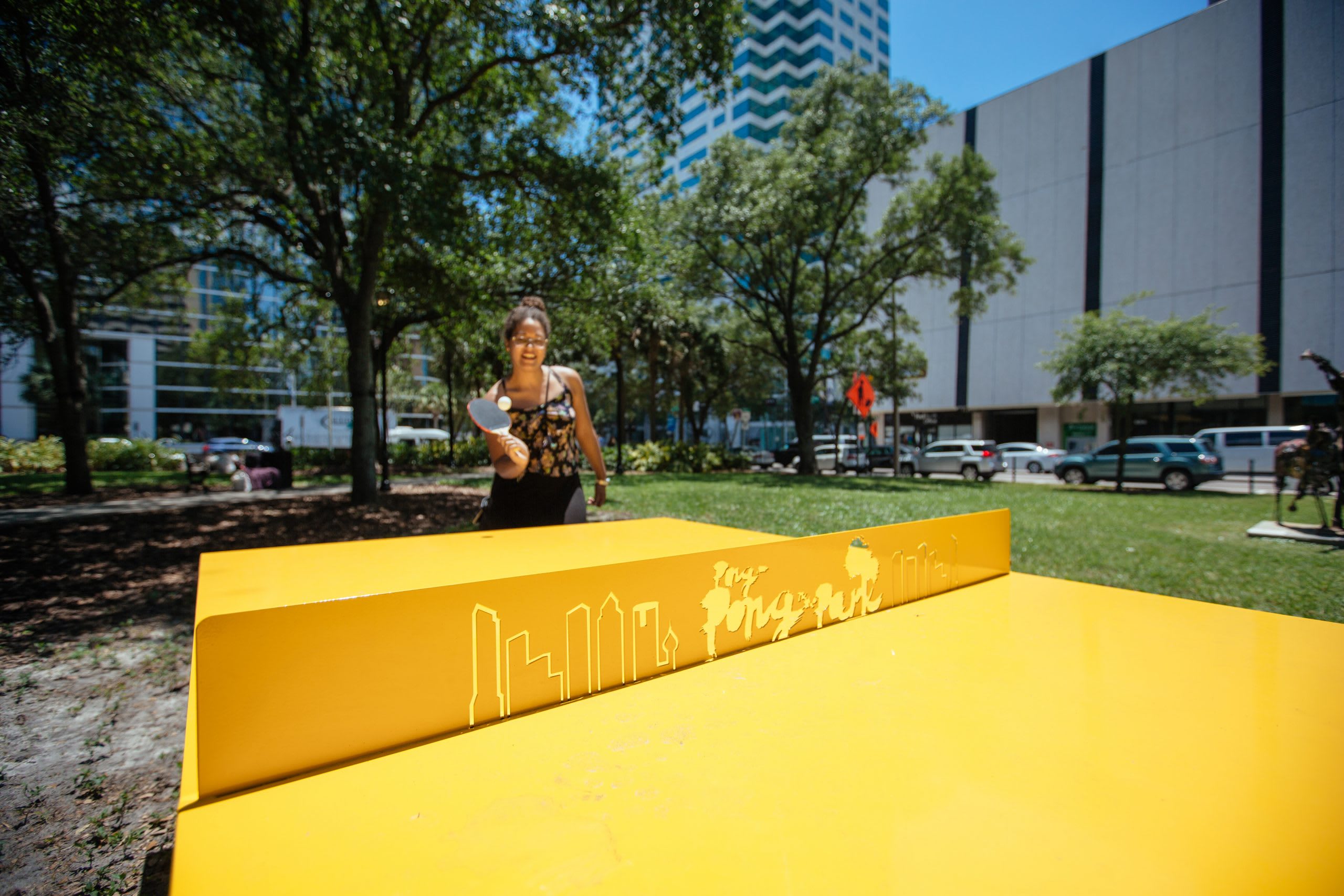 Pong in the Park