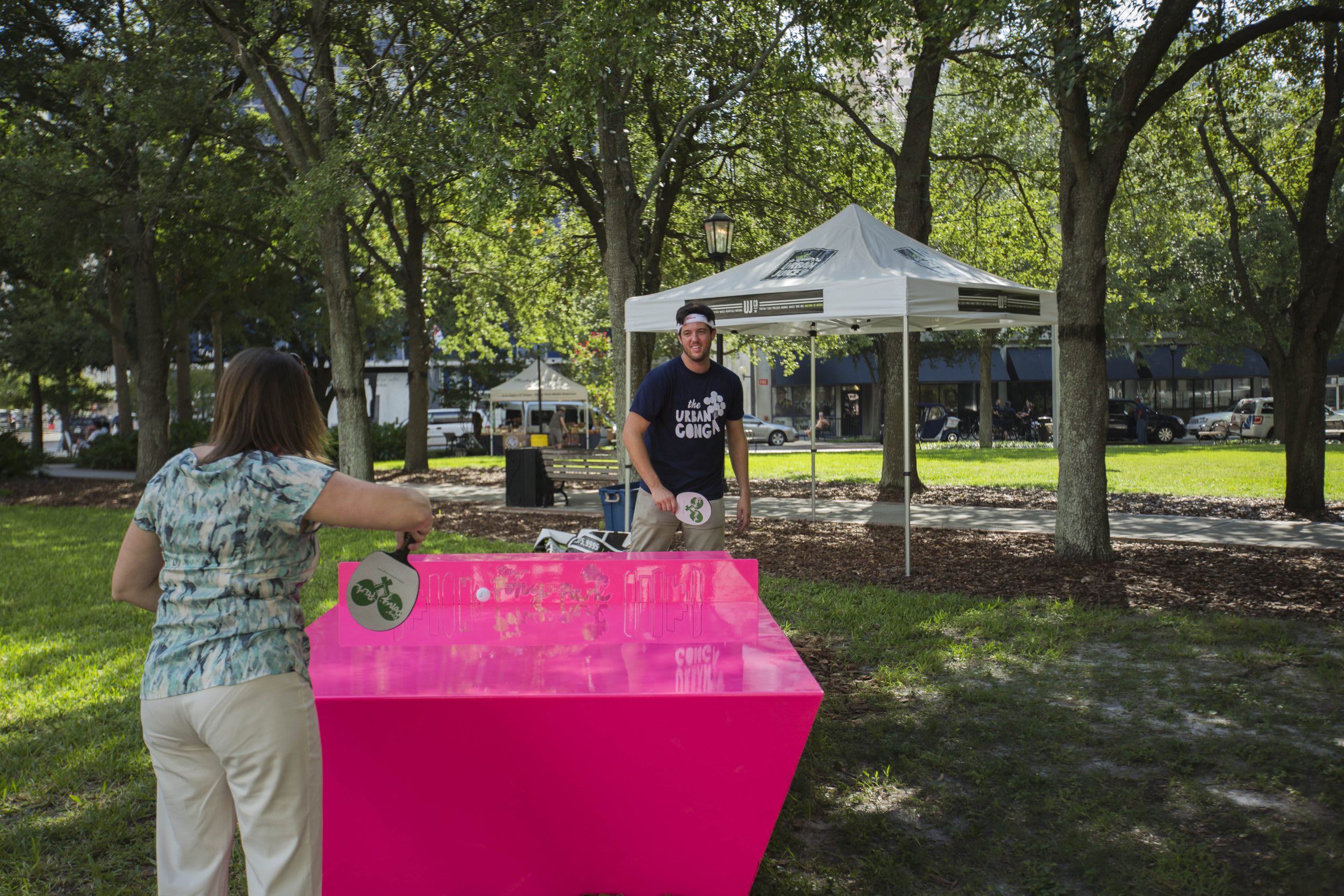 Pong in the Park
