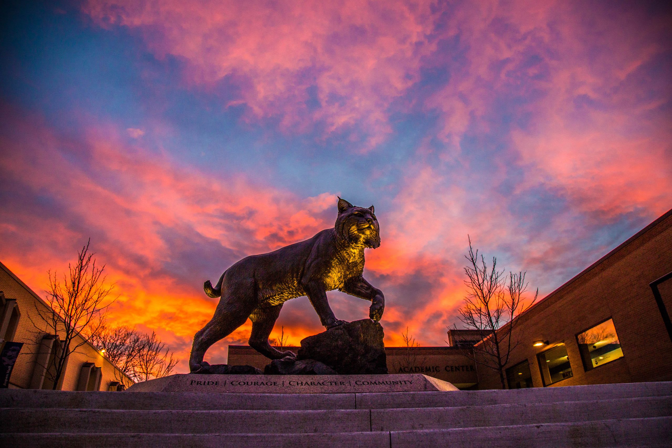 JWU Wildcat Monument